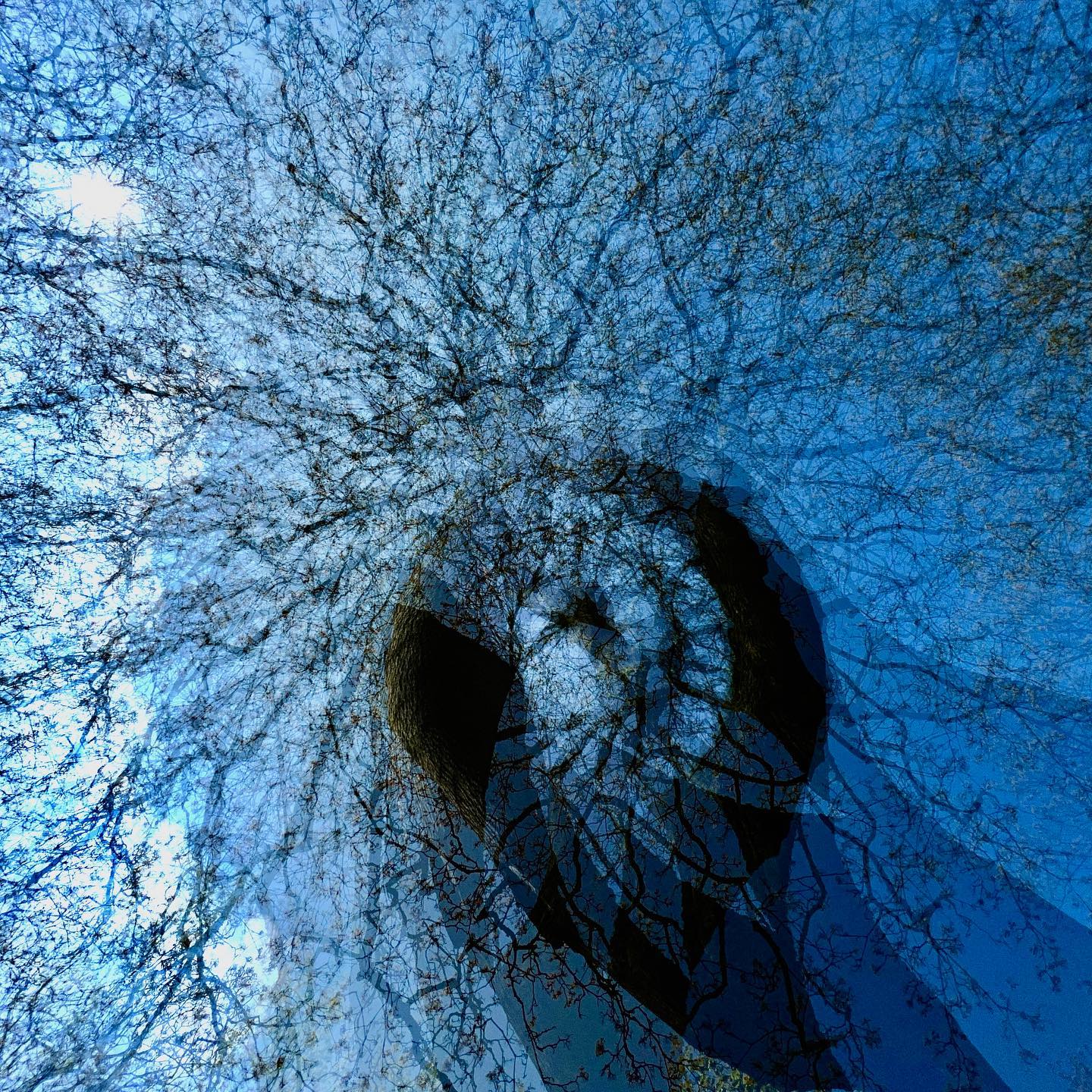 … THE HUMAN TREE … #experimentellefotografie #multiexposure #nophotoshop #incamera #mehrfachbelichtung #visualart #fineartphotography #silberstreif #abstractart #inmotion #experimentalphotography #motion #fineart #ilovehannover #artography #camerapainting #sun #lettherebelight #shadows #sunlight #celebrationoflight #ontheroad #trees #beautyofnature #driveby #walkbyshooting #sun #inthewoods #sunlover #spring