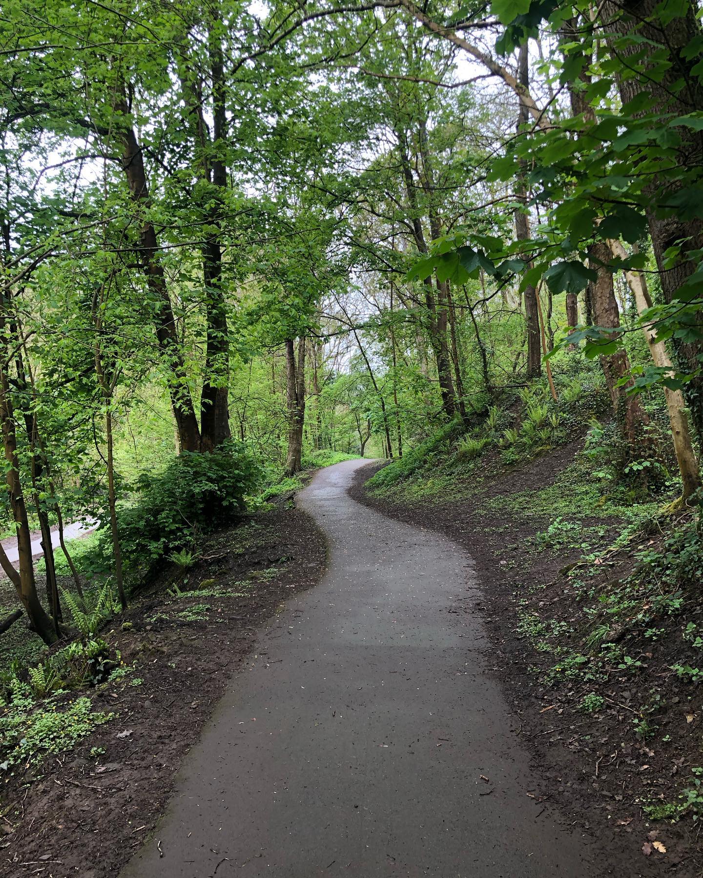 City wonderings - love that Bristol offers wonderful nature so close :) xx