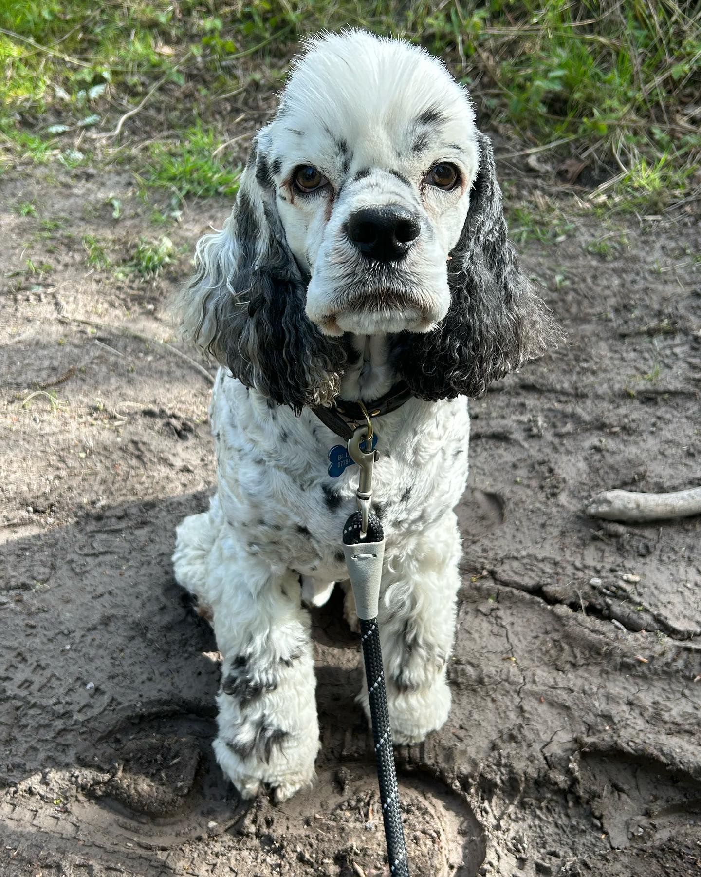 Is it time for a treat ?🐶