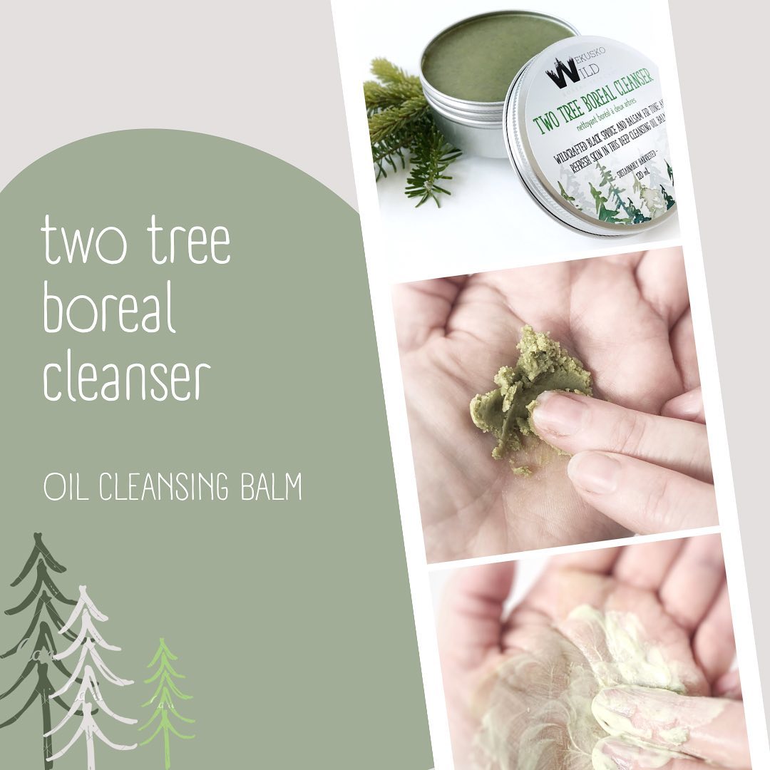 The perfect deep cleanser for both oily and dry skin types. Oil cleansing is much more gentle on your skin’s protective barrier than soap or detergent-based cleansers. Oil cleansers are the most effective at dissolving excess oils on skin including clogged pores, blackheads, waterproof sunscreen and makeup. Oil cleansers also help balance the cycle of oily skin-over cleansing-excess oil production to compensate. Dry skin? Also amazing for you! Deep clean while leaving just enough oil behind to leave your skin protected and moisturizer. Two tree boreal cleanser is entirely oil and plant fat based, but blends magically with water to deep clean your skin with aromatic scents of spruce and fir #oilcleanser #oilyskin #dryskin #organicskincare #naturalskincare #manitobamade #canadianmade #smallbusiness #wekuskowild #spruce #fir #cleanser #cleansingbalm #deepclean #cloggedpores #leapingbunny #handcrafted #sustainable #zerowaste