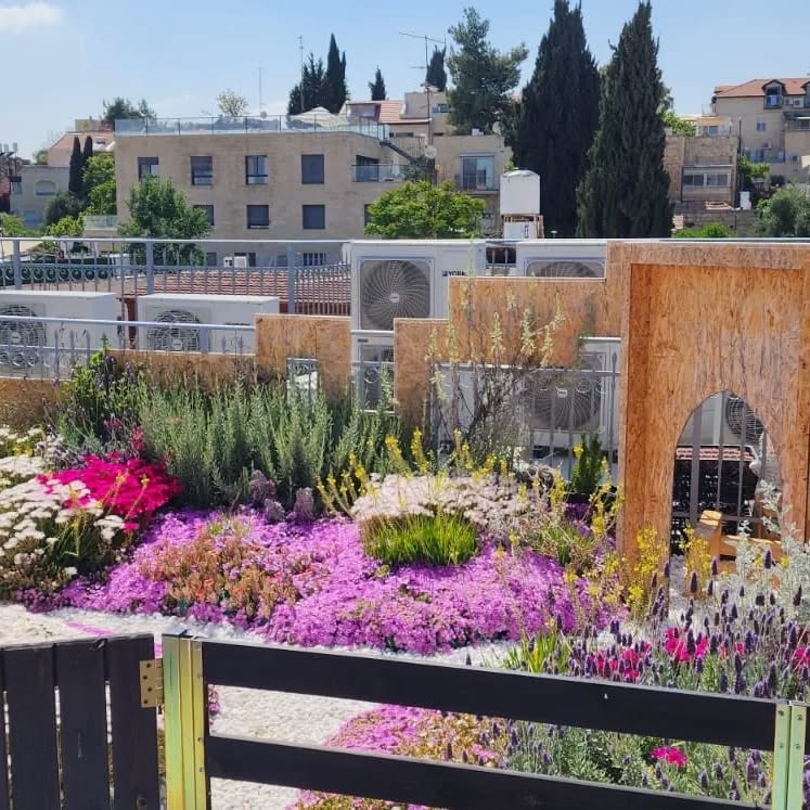 spring has no borders
@sinsila.center2020
#greenroof, #בנייןצומח, #bldveg, #גגירוק, #oikosteges, #גגצומח, #israel, #greenroofpolicy, #greenroofs, #muslala, #מוסללה, #jerusalem, #ירושלים, #climatechange, #sinsila, #spring, #גגותירוקים, #urbangreen, #urbangreenery, #futureproof, #אקולוגיה, #ecoroof, #בניהירוקה