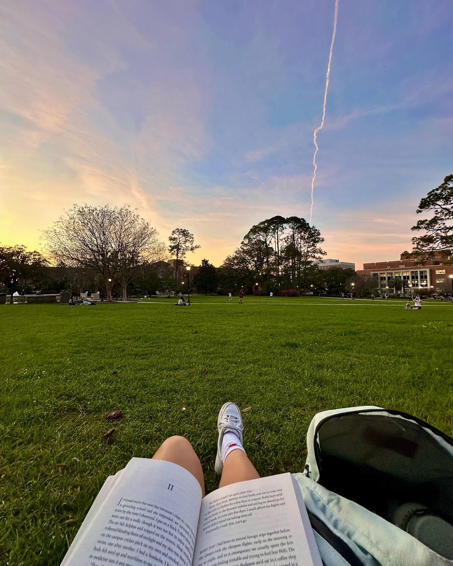 have to lan-dis semester off on a silly note 🐢🙌🏽