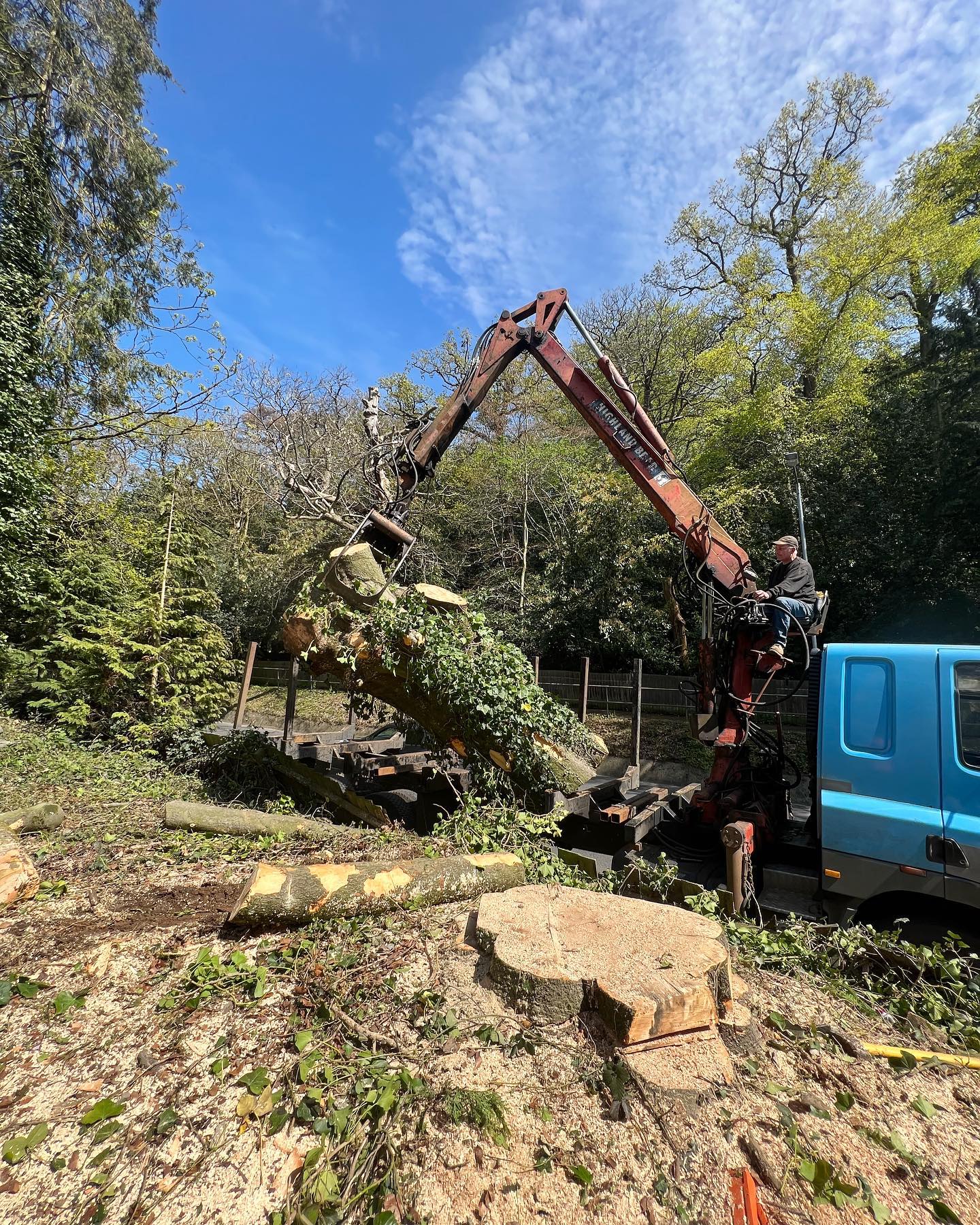 This week we removed a very large Beech tree, which unfortunately had been condemned due its decline from the fungus Meripilus giganteus. A great effort from the team and we are back soon to start the next phase of the works. 🌳🌳🌳🌳 #amgroundmaintenance #norwich #norfolkbusinessnetwork #norwichbusinesses #arborist #arb #arboriculture #localbusiness #edp24