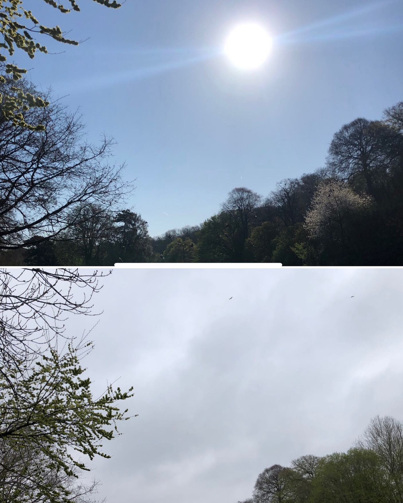 Contrast is guidance - nature can offer teachings - our perspectives our responses - grey gloomy bright cheery :) xx