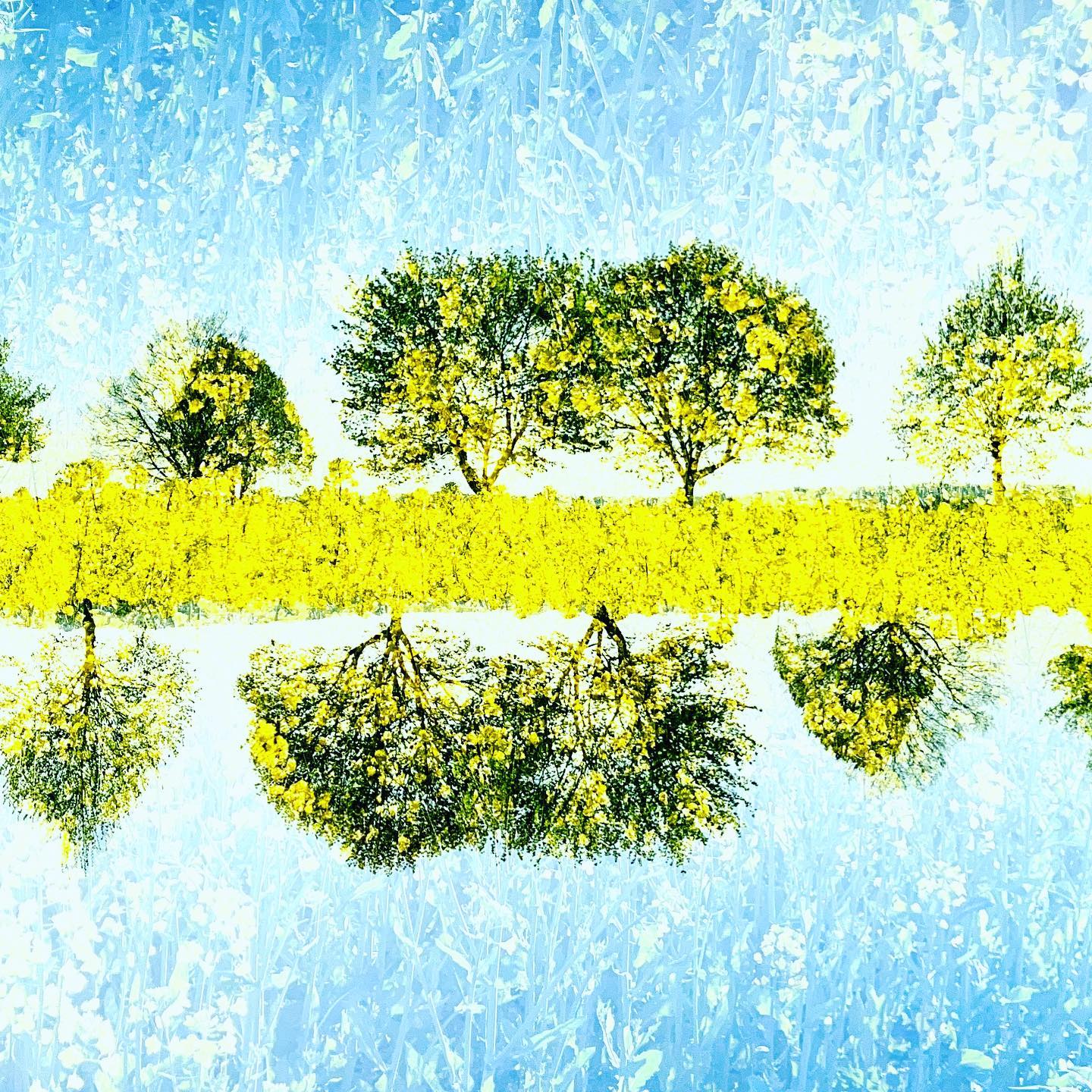 … RAPSBLÜTE … #experimentellefotografie #multiexposure #nophotoshop #incamera #mehrfachbelichtung #visualart #fineartphotography #abstractart #inmotion #experimentalphotography #motion #fineart #ilovehannover #artography #camerapainting #sun #lettherebelight #sunlight #celebrationoflight #ontheroad #trees #beautyofnature #driveby #drivebyshooting #sun #treeart #sunlover #spring #rapsfeld #yellow