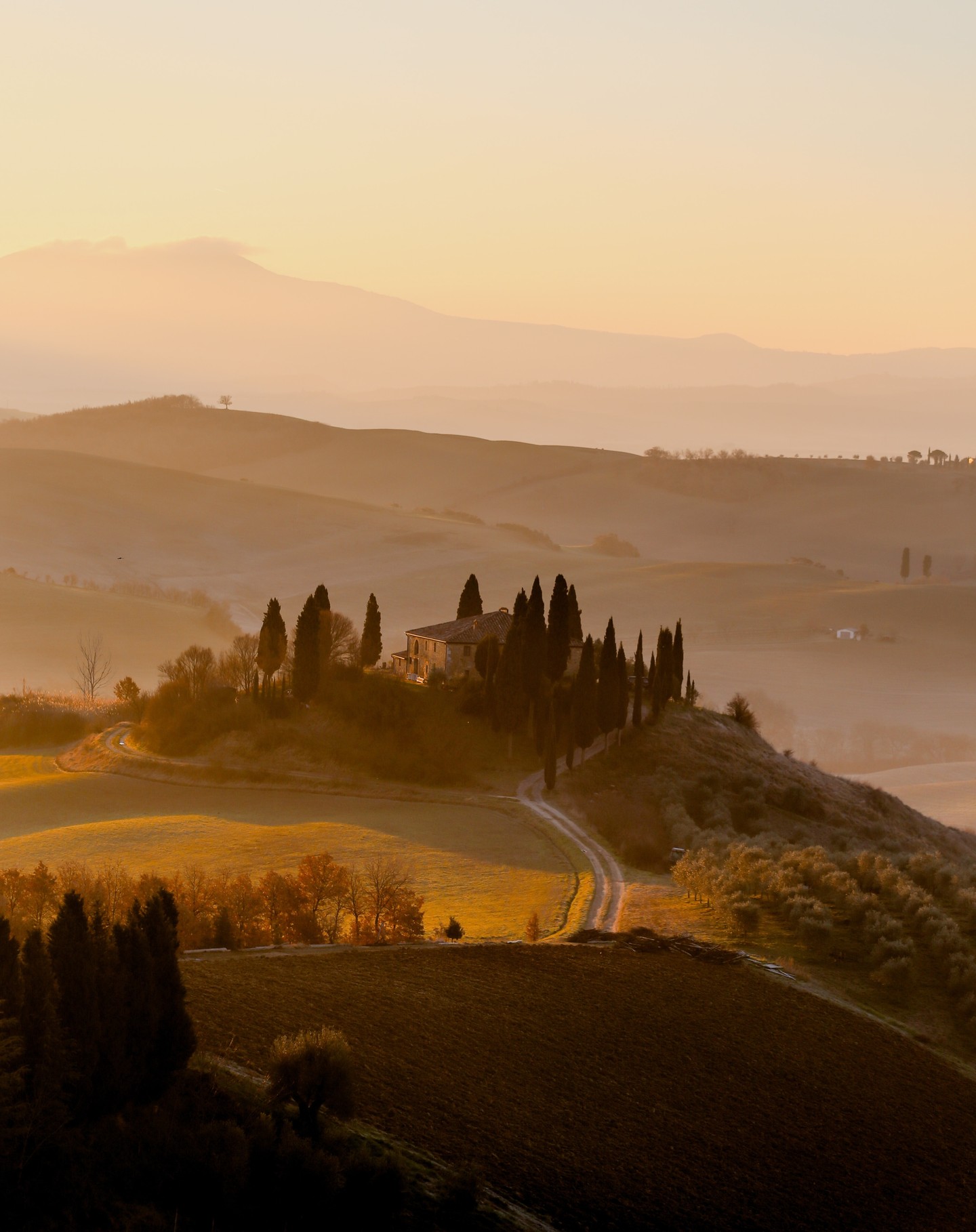 Tuscany Scenes by Renaud Côté-Giguère coming soon!
#duotandemplayscotegiguere
Photo by Giuseppe Mondì @whatitalyis licensed through Unsplash