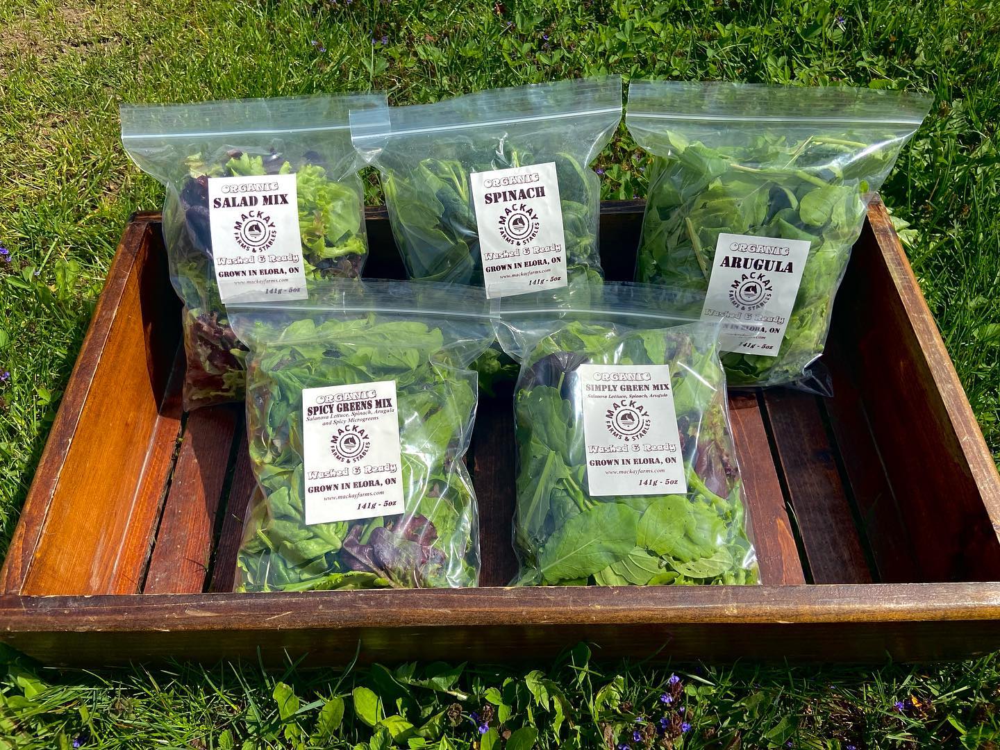 Greens, greens, greens!!
Introducing our new Spicy Greens Mix (Spinach, Lettuce, Arugula, and Spicy Microgreens) and the Simply Green Mix (Lettuce, Spinach, Arugula)!
Perfectly portioned, washed, and ready to eat.
Come get some for yourself tomorrow at the Elora Farmers market at Bissell Park from 9:00-1:00.
