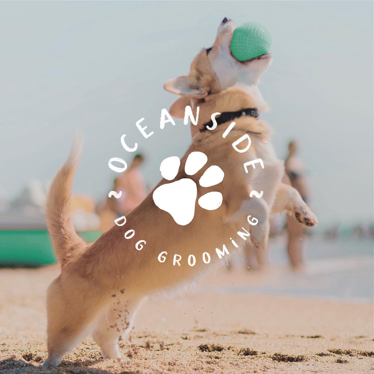 We love that our clients are so varied. Whether it’s a new small business to be launched like this one @oceanside_dog_grooming, or an established business ready for a refresh, it’s always nice to be able to help bring our clients vision to life.
This one included three of our favourite things – local business, beaches and dogs! 🐾🐾🐾
Tracey is an ex-nurse turned dog groomer! If you’re in the Shellharbour area we highly recommend :)
.
.
.
#smallbiz #smallbusinessnsw #doggroomer #branding #handdrawn #watercolour #logodesigner #graphicdesigner #brandguidelines #shellharbour #shellharbourvillage #kiama #kiamansw #albionpark #shellharbourbusiness