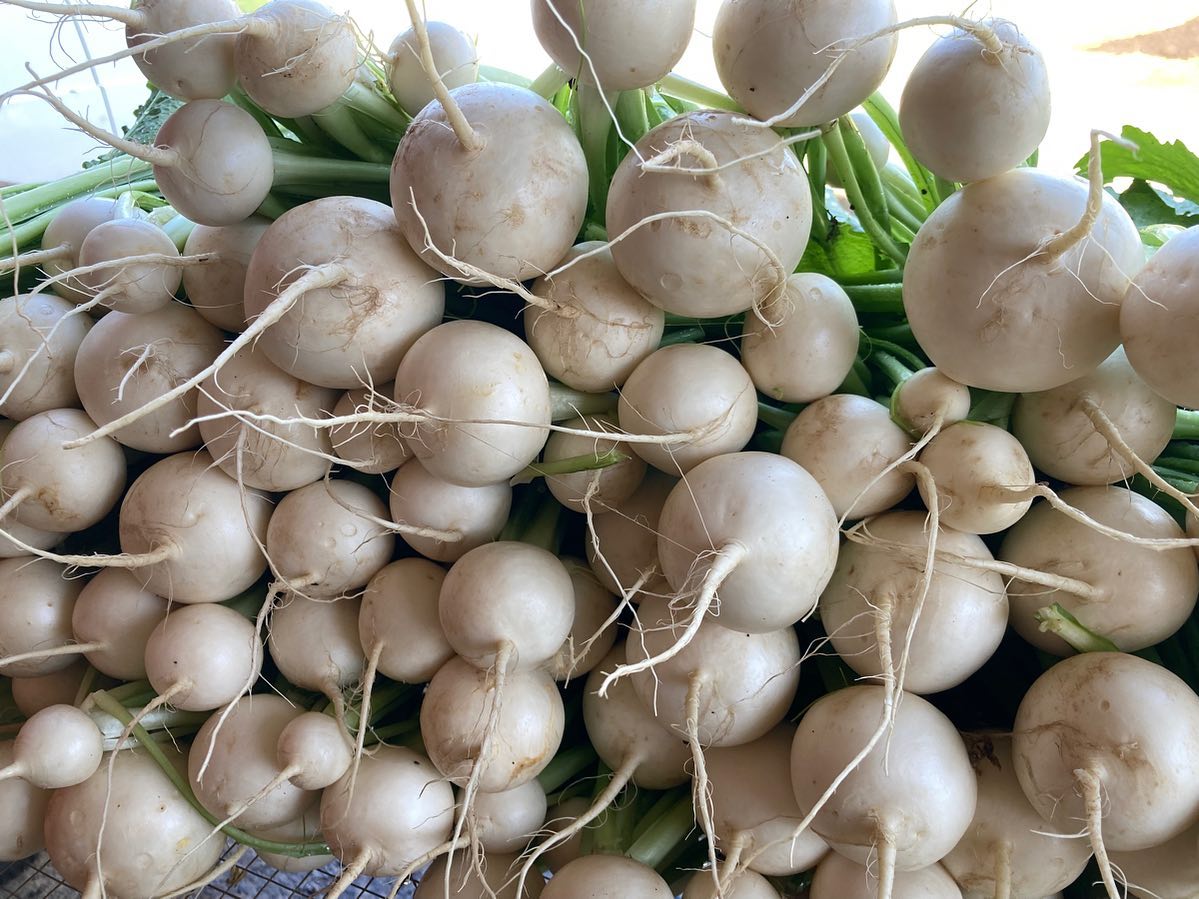 Soooo juicy and sweet. These beautiful turnips are coming to @silvertonfarmersmarket tomorrow :) 9 am - 1 pm.