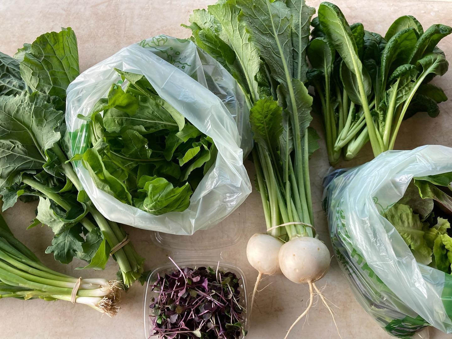 CSA box week 1. Holy moly, green greens greens! Tatsoi, arugula, salad mix and turnips, radish microgreens, scallions.