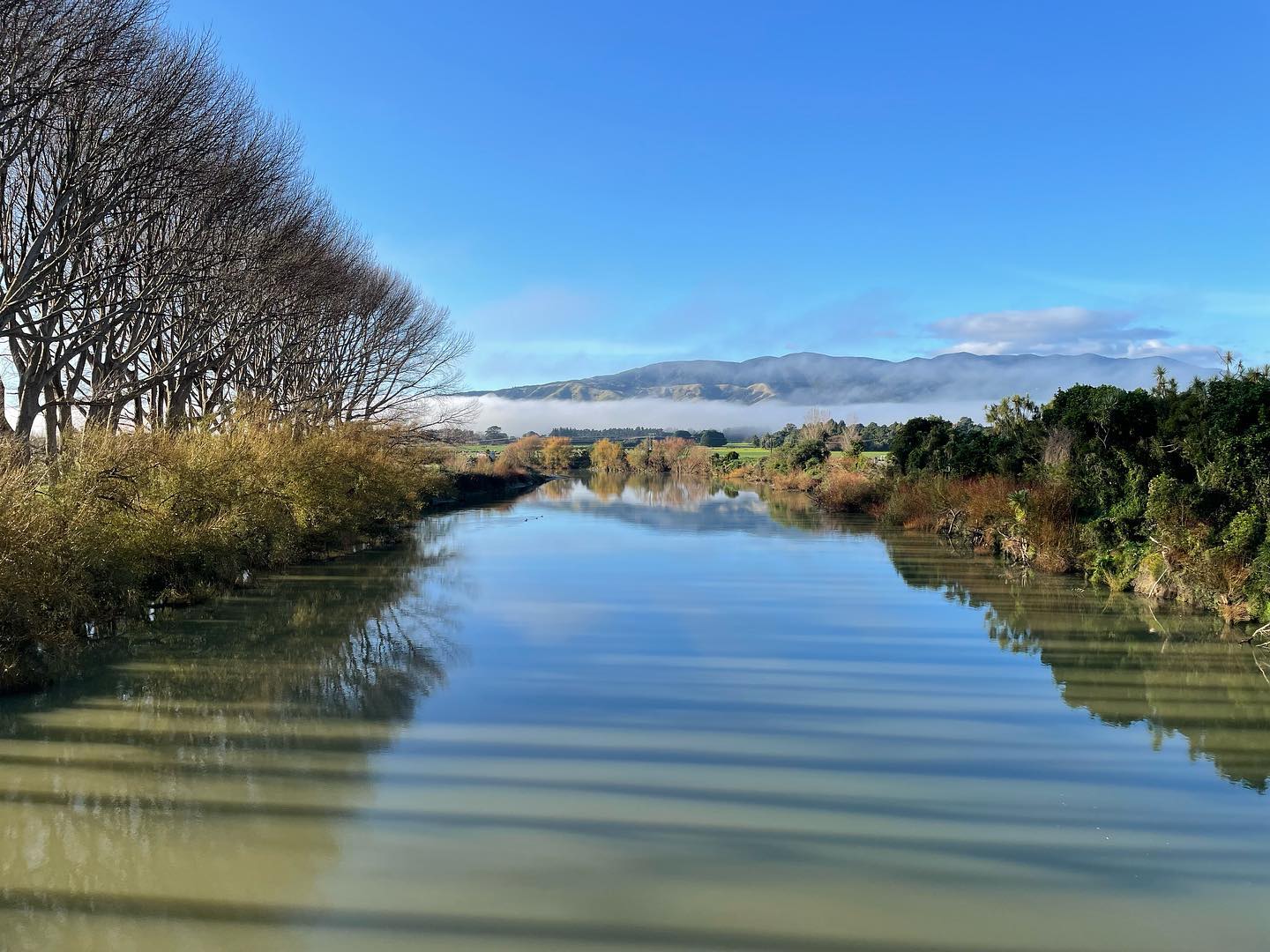The Ruamahanga river looking pretty special on this morning’s ride. Is there is a better training block than Autumn endurance? Not for me! 🍂 #endurance #autumnrides #wallacetraining