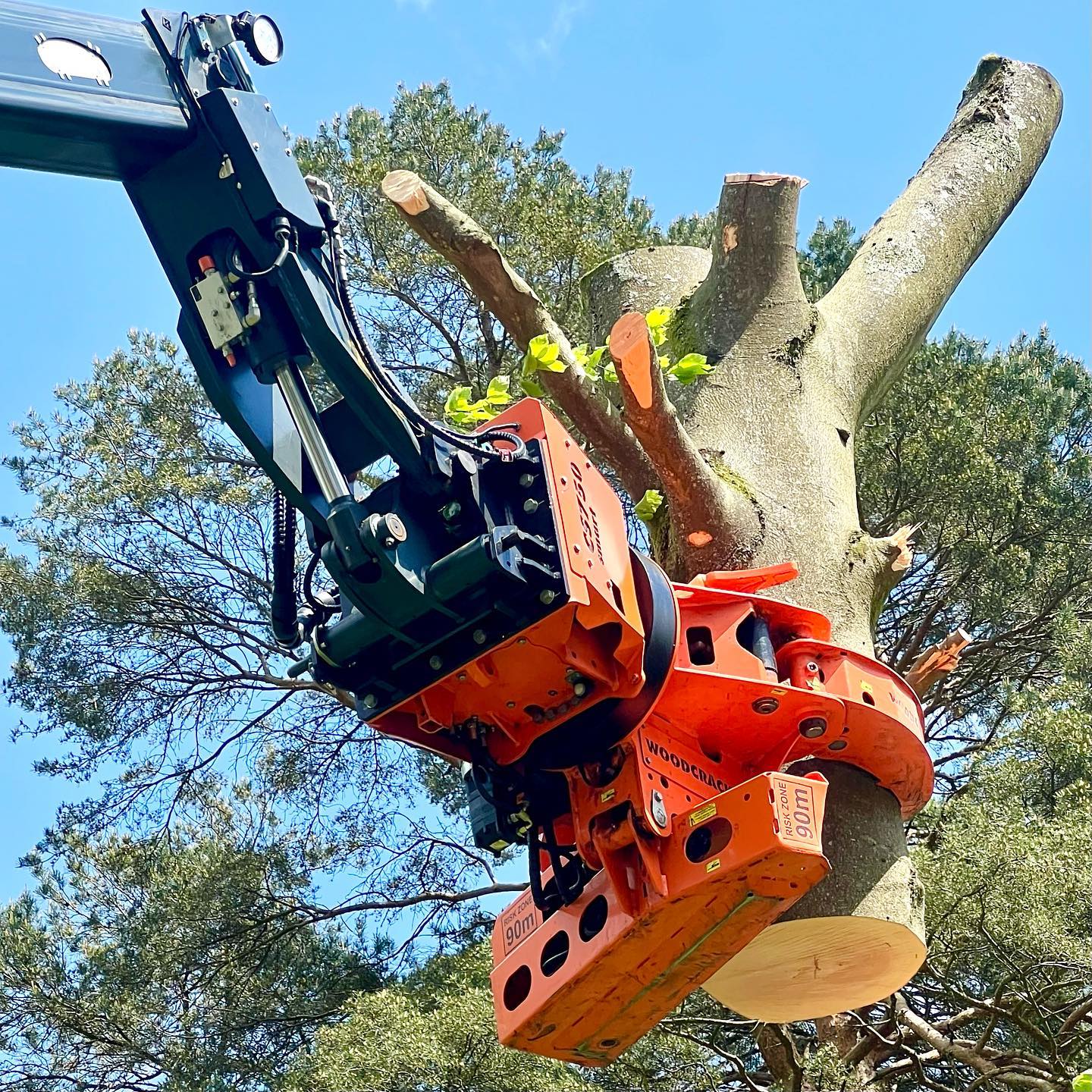 Big beech dismantle for EJS Tree Services
#magnifique #magnigrapplesaw #woodcrackercs750 #compliance #wallacetimberservices #grapplesawtruckcompany #grapplesawtruck #mechanicaltreedismantling #contracthire #uk