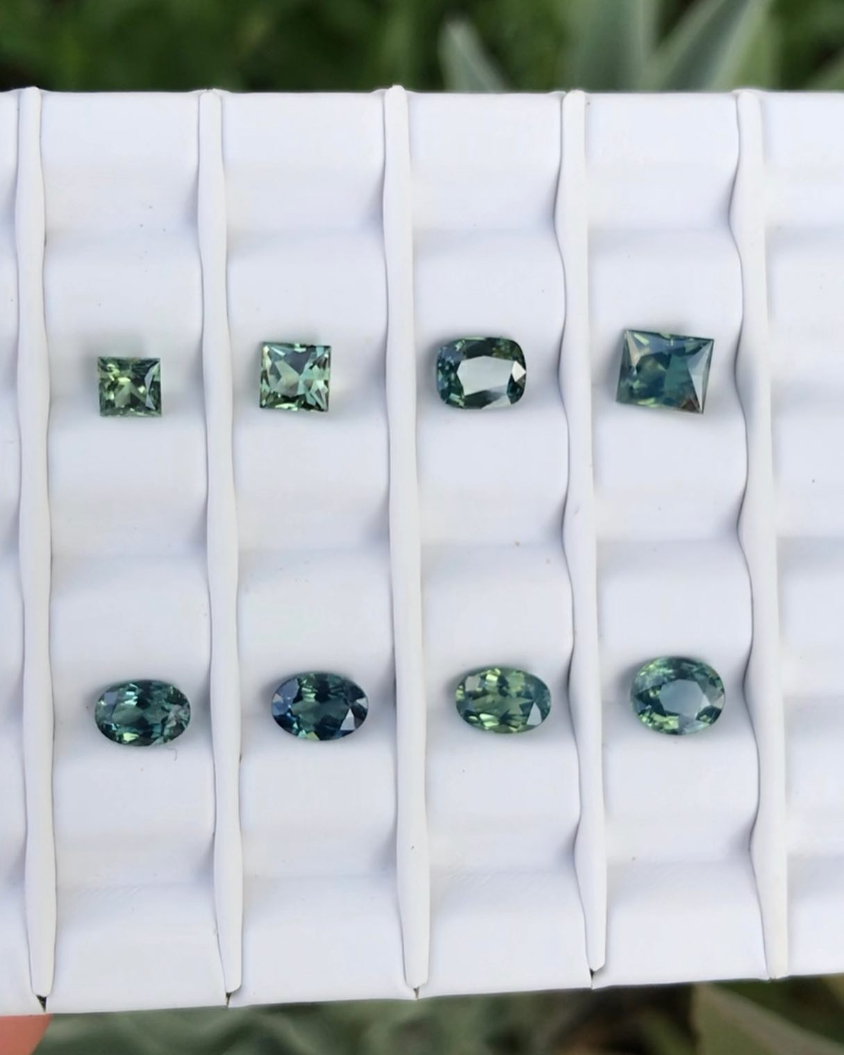 Saphirs d’Auvergne, taille princesse, rectangles, coussin et ovales, naturels, non chauffés, non traités.
1 : saphir d’Auvergne taille princesse 0,43ct | 3,57 x 3,68mm |
2 : saphir d’Auvergne taille rectangle 0,50ct | 4,21 x 3,96mm |
3 : saphir d’Auvergne taille coussin rectangle 0,67ct | 4,37 x 5,54mm |
4 : saphir d’Auvergne taille rectangle 0,87ct | 5,30 x 4,52mm |
5 : saphir d’Auvergne taille ovale 0,49ct | 3,97 x 5,58mm |
6 : saphir d’Auvergne taille ovale 0,55ct | 4,06 x 5,80mm |
7 : saphir d’Auvergne taille ovale 0,56ct | 3,98 x 5,81mm |
8 : saphir d’Auvergne taille ovale 0,65ct | 4,71 x 5,73mm |
#saphir #saphirdefrance #saphirdauvergne #frenchsapphire #finegems #exceptionalgemstones #teal #tealsapphire #bluesapphire #naturalgemstone #ethicalgemstone #ethicallymined #naturalsapphire #unheatedsapphire #saphirnaturel #pierresethiques #joaillerieethique
#sapphire #gemme #cuttinggemstones #precisioncut #ethicaljewelry #highjewelry #jewelrydesign #statementjewelry #hautejoaillerie #minetomarket #jewelrydesigner #jewelryblogger #gemstonetraceability