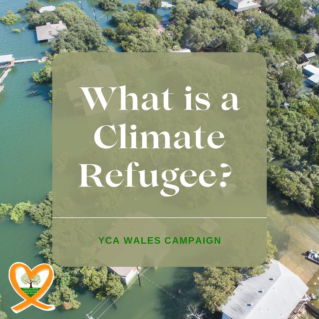 What is a climate refugee? 🧡
Whilst there is a lack of an official definition, here is what being a climate refugee means to us.
- S
#climatechange #climaterefugees #ycawales #climateaction #youthactivism