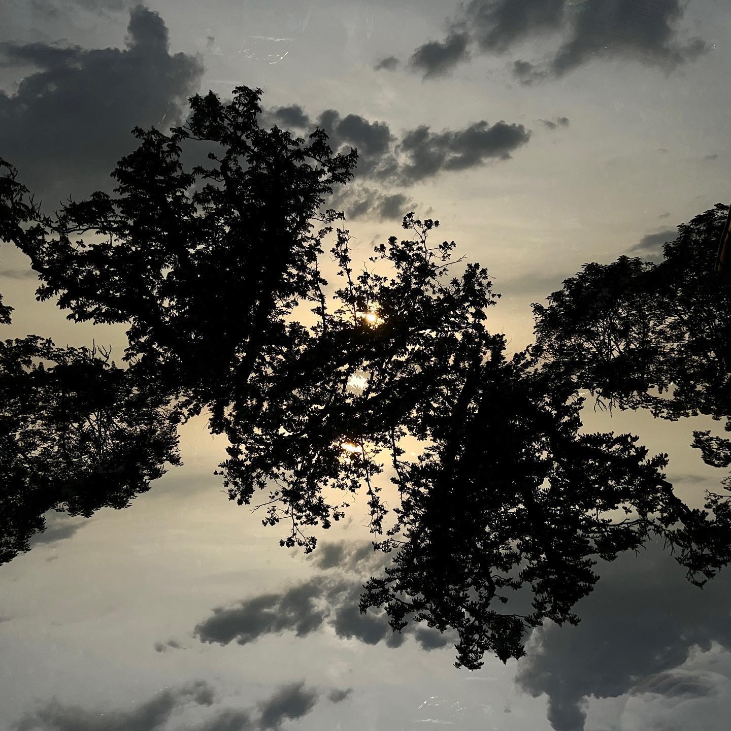 … SCHWEBENDE BÄUME … #experimentellefotografie #multiexposure #nophotoshop #nofilter #mehrfachbelichtung #visualart #incamera #fineartphotography #wallart #abstractart #inmotion #experimentalphotography #art #motion #artoninstagram #fineart #ilovehannover #artography #camerapainting #sun #sunset #oldoak #beauty #sunlight #celebrationoflight #ontheroad #trees #beautyofnature #wolken #cloudporn