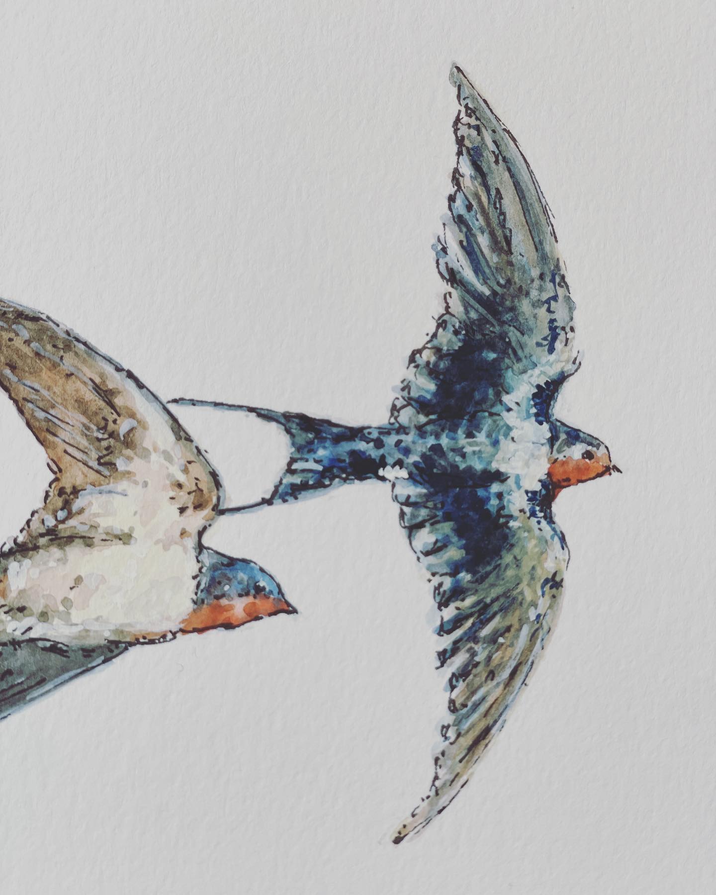 A snippet of swallow. Part of an original for Art In June. It’s all about our feathered friends for me this year 🐦