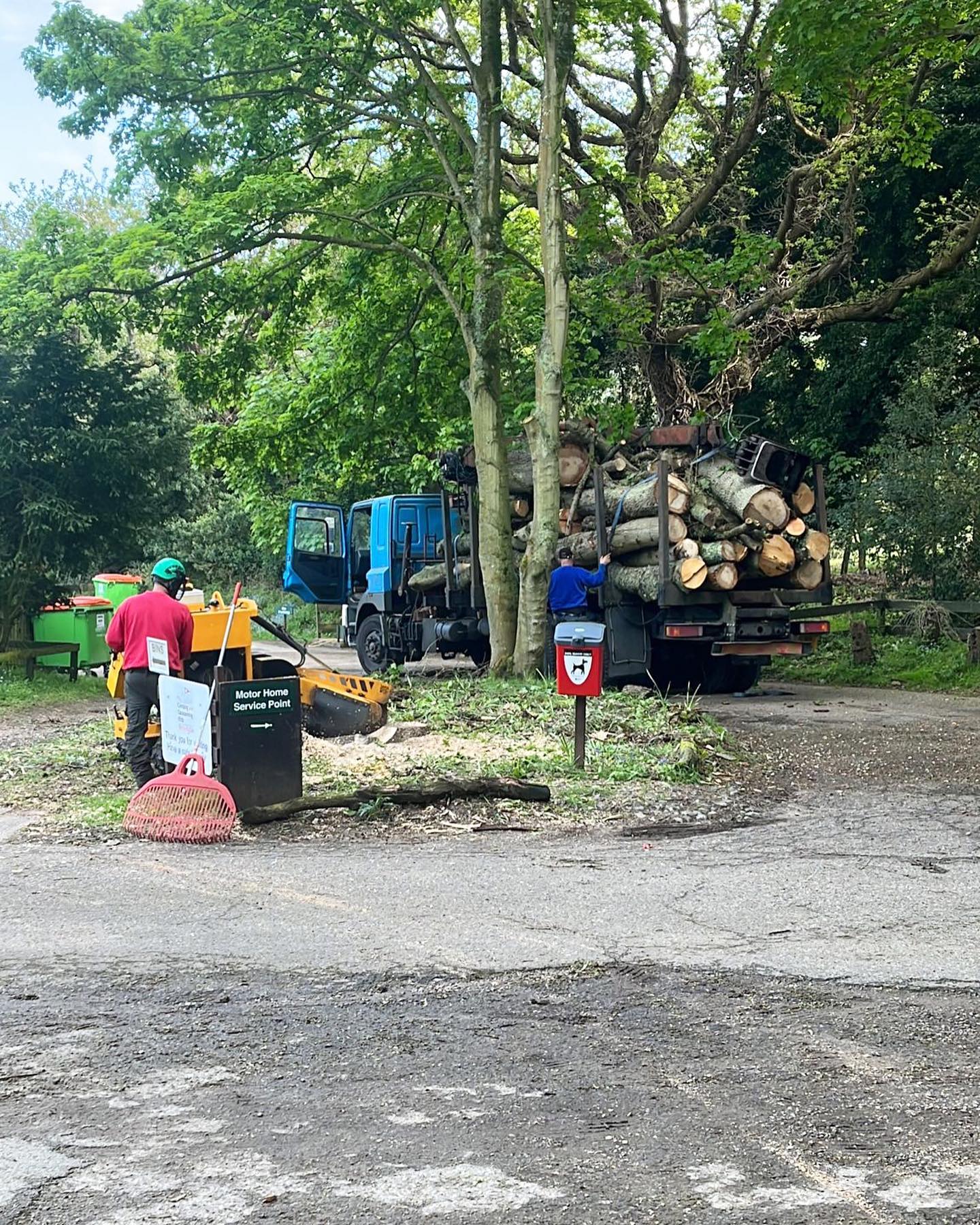 A great job recently completed at the West Runton camp site. The trees were removed for a big site development later in the year. 🌳🌳🌳 #amgroundmaintenance #norfolk #norfolkbusinessnetwork #norfolkbusiness #localbusiness #arborist #eastofengland #edp24 #westrunton