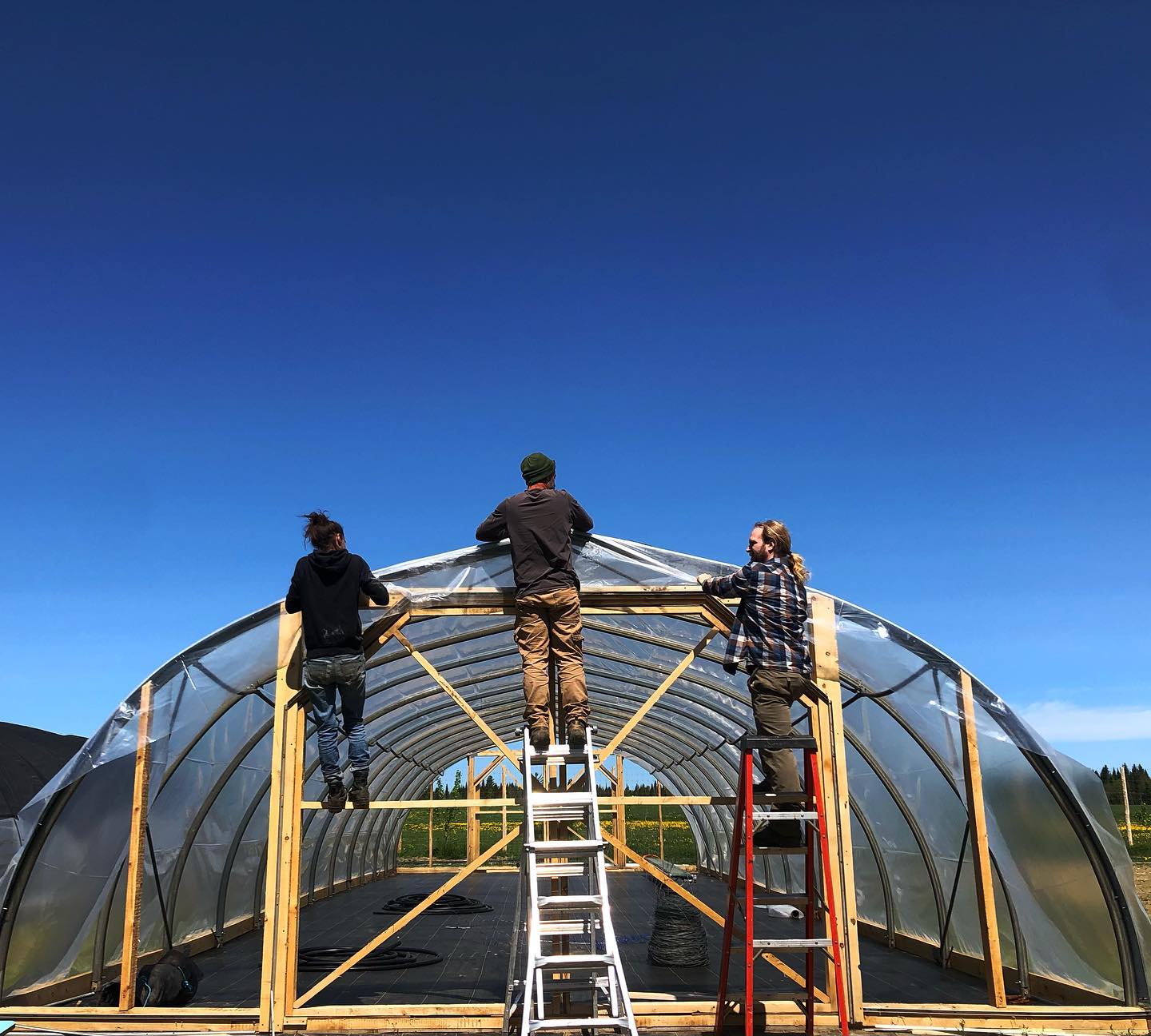 La symétrie, c’est important. Aujourd’hui, on monte une serre-tunnel supplémentaire.
#pepinierenorthhill
#cultureenserre
#plantesindigènes