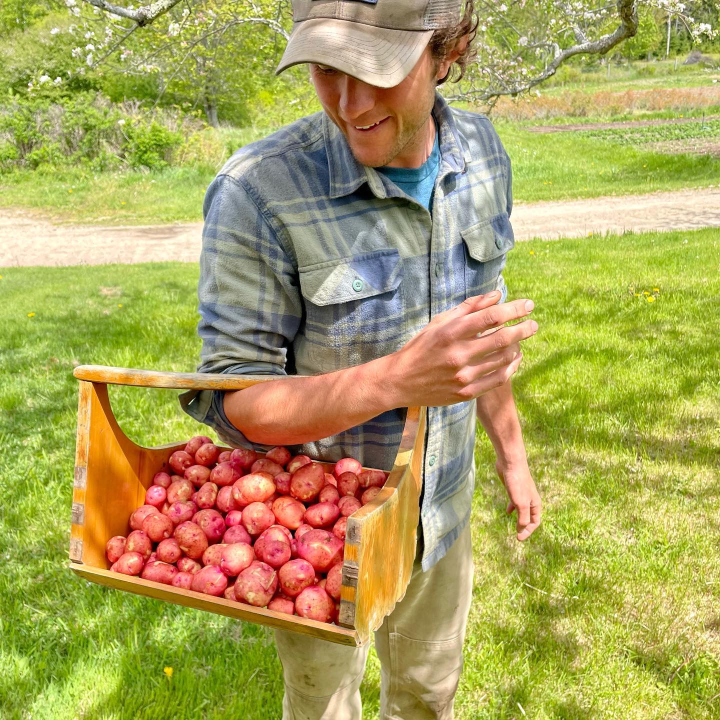 Happy Memorial Day weekend! Come on down to the farm this Saturday to stock up for the long weekend. We have all sorts of new first of the season offerings; baby new potatoes, baby fennel, baby beets, baby zucchini and if you’re lucky, a few pints of peas! We’ll be open as usual, 10-12. See ya then!