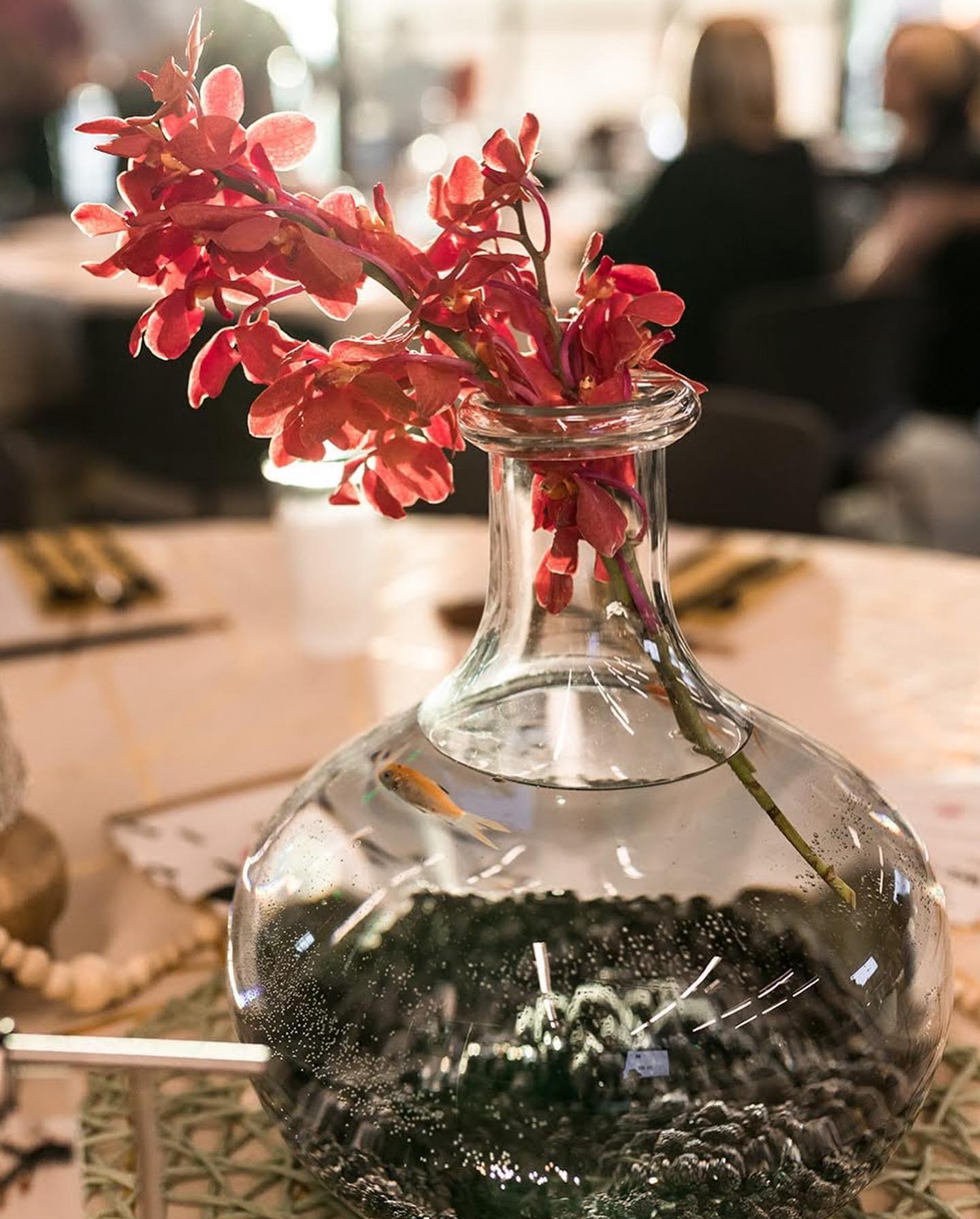 REHEARSAL DINNER - Korean wedding traditions & culture 🇰🇷 So fun!!
(extra points if you can spy the gold 🐠)
.
.
Photography: @bribergmanphoto
Planning & Design: @poppylaneevents_st.george
Florals & Decor: @poppylaneevents_st.george
.
.
#stgeorgeweddingplanner #stgeorgewedding #poppylaneeventsstgeorge
#southernutahweddingplanner #zionweddingplanner #zionwedding #wedding #rehearsaldinner #koreanwedding