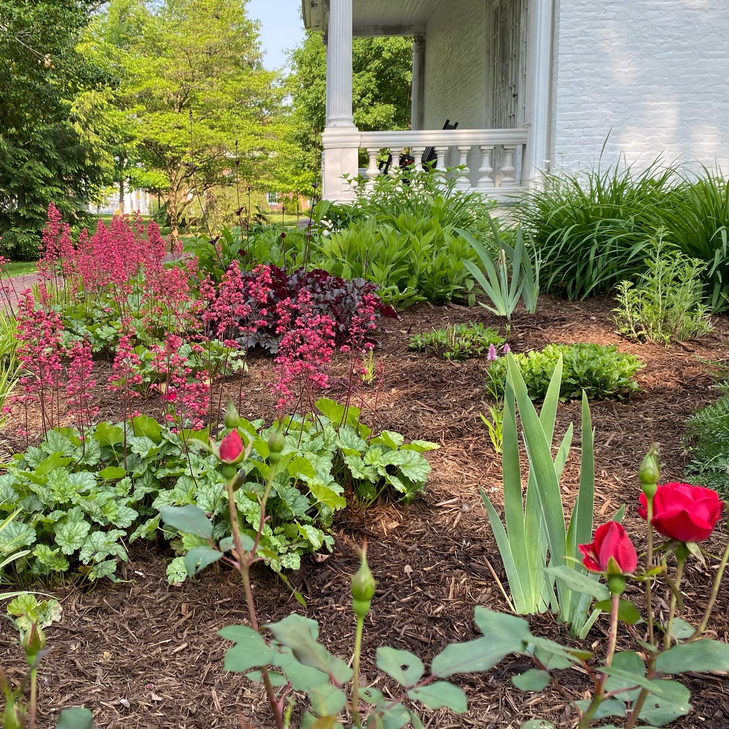 If you haven’t been by in a while, do yourself a favor and come check out all that we’ve done outside! We still have a ways to go, but what we have done is absolutely beautiful!
Want to see more landscape changes happen at Lane Place? Give today to help us reach our fundraising goals! Check out our website for ways to donate!
Our grounds will soon be home to the Strawberry Festival (June 9-11), but throughout the year we have historic house tours, events and many people who come here for photos during all kinds of special events (prom, weddings, family photos, birthday shoots, and more)! Help us preserve Lane Place and continue beautifying and caring for our grounds by donating today!
#uniquelymoco #crawfordsvilleindiana #laneplace #historichousemuseum #garden #beautiful