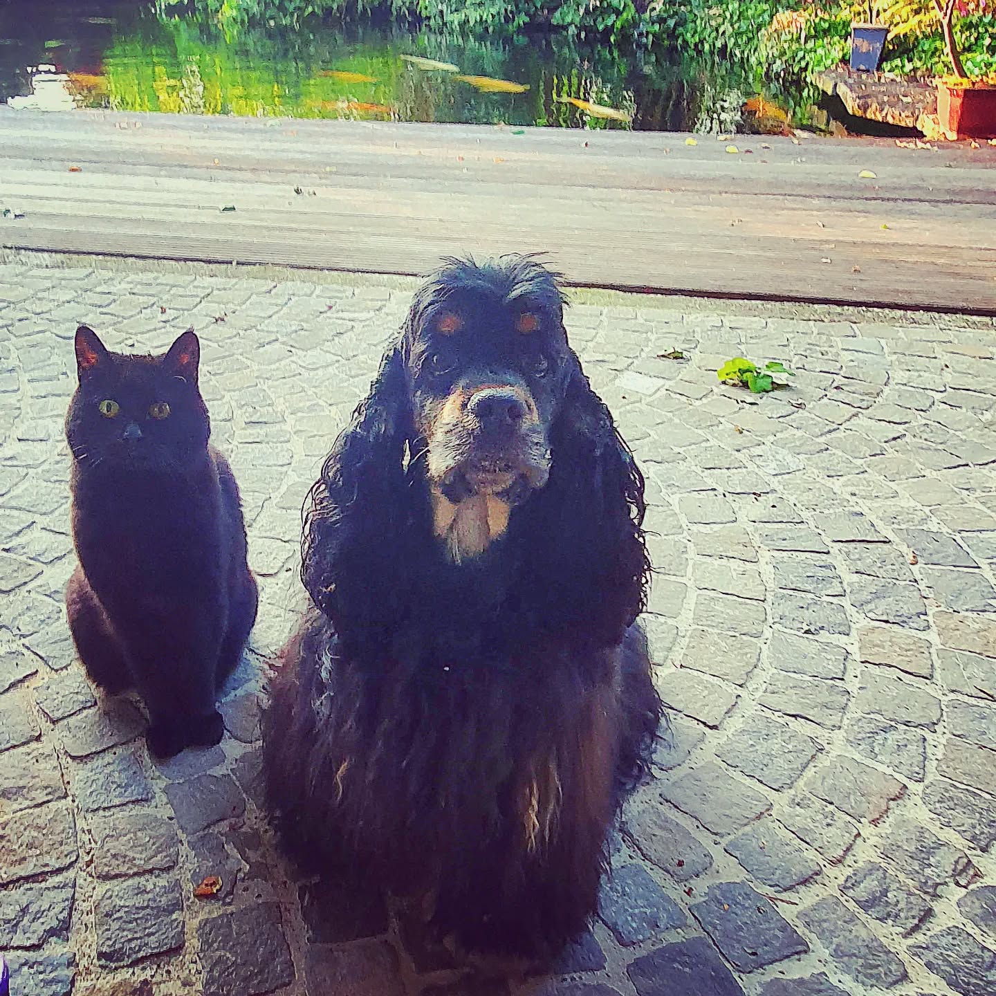 We are hungry....
Serafina & Finja