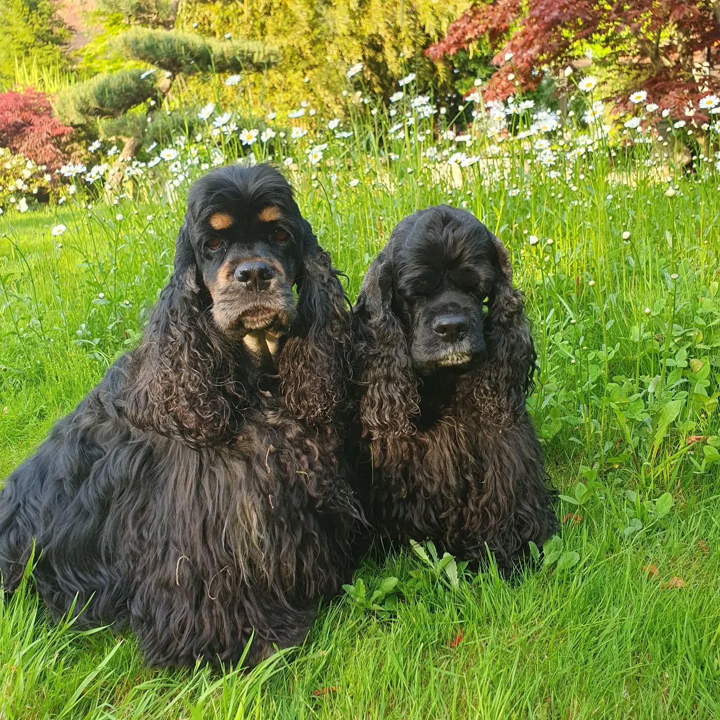 Finja, Rose und Emely