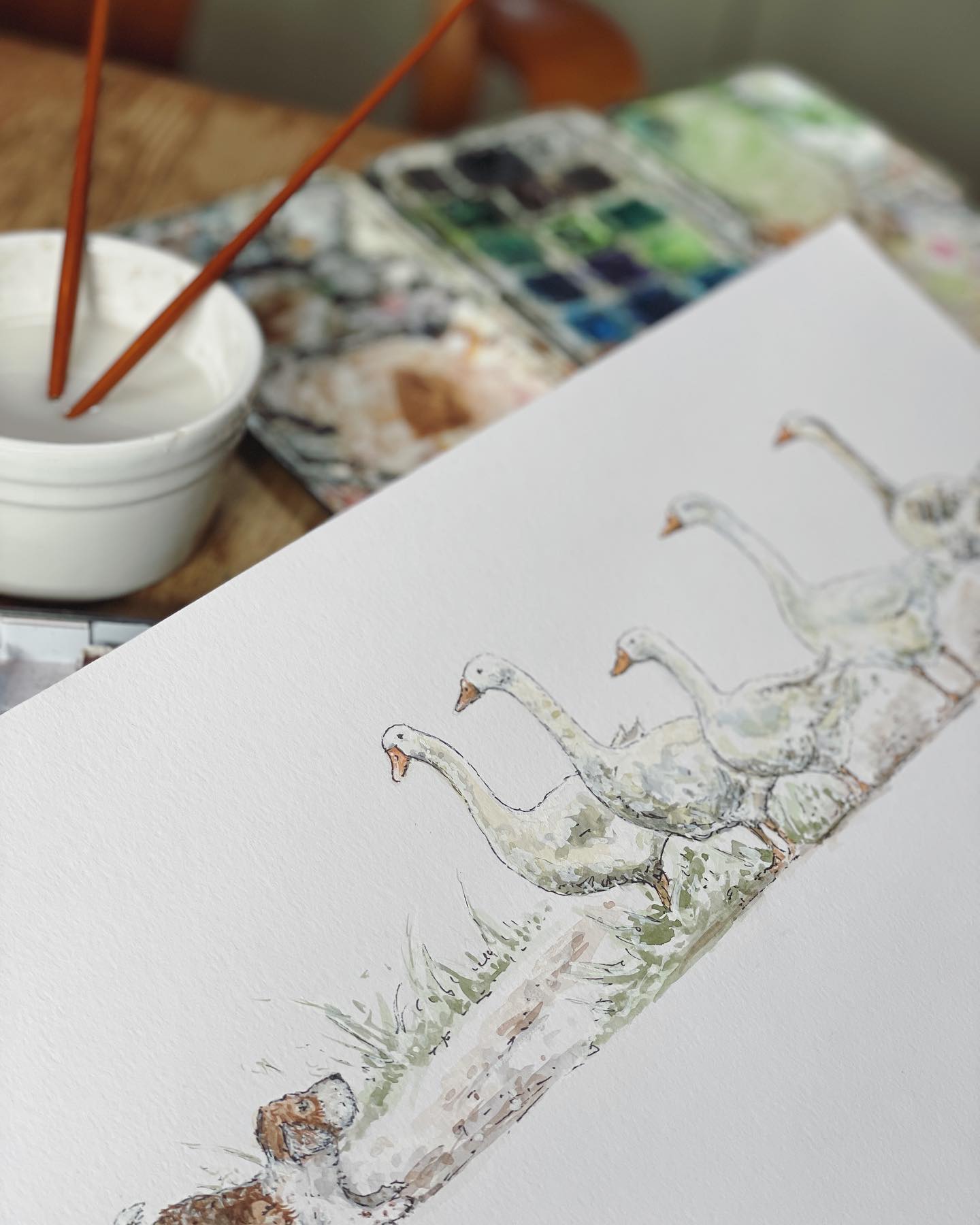 Open studio season is soon to be upon us. I thought I’d let you know what I’ve been working on as us artists shoo out the spiders and open up our studios to you lovely people
.
.
As many of you know life in the country is the main source of inspiration for my watercolour illustrations. For Art In June this year I am exhibiting a handpicked collection of new original works which focus on our feathered friends. For some time I have been thinking how birds are so well loved by so many of us and have wanted to honour them in a little collection of their own
.
.
From characterful garden poultry to wonderful wild birds on the wing the Red House near Hever, where I am exhibiting, is a most appropriate setting for these particular illustrations. At this magical place, hidden down a quiet country lane, you will find a menagerie of bird life from the parrot to the pied wagtail.
.
.
Do pop along to find out more and see the other artist’s work too, (there are six of us exhibiting in this special space) For more info search artinjune or follow the link in the bio @artinjunekent
.
.
#artinjunekent #openstudios #countrysideartist #birdart #countryliving #countrylife #hensofinstahram #countryart #originalart #inspiredbynature #countrydecor #countryhomesandinteriors #countrygarden #art #illustration #wildlifeart #animalart #prints #cards #greetingscards #artiststudio #countryside #farmlife #poultrykeeping #birds #illustrator #artist #countryhome #painting #watercolours