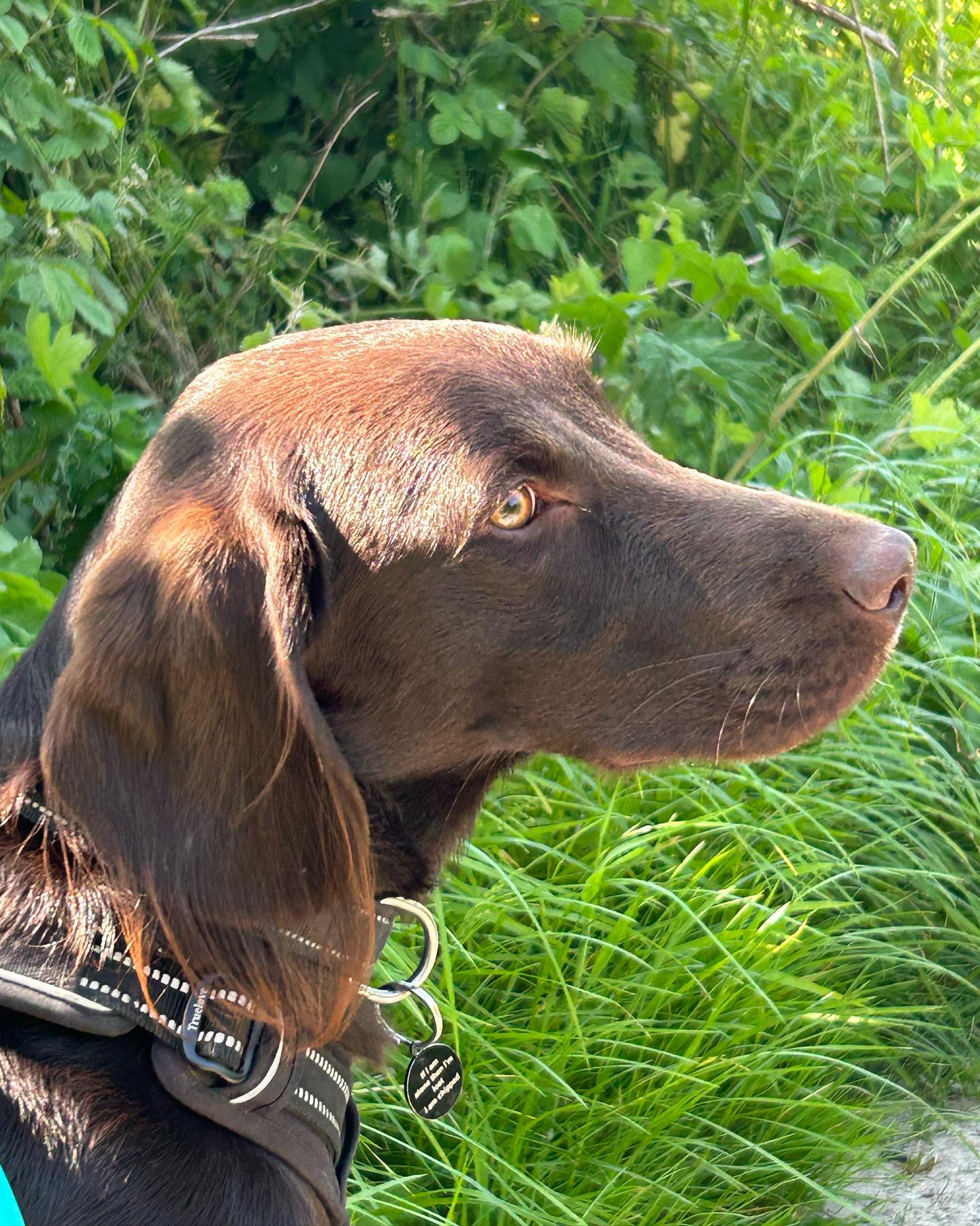 Exploring in the sunshine ☀️
