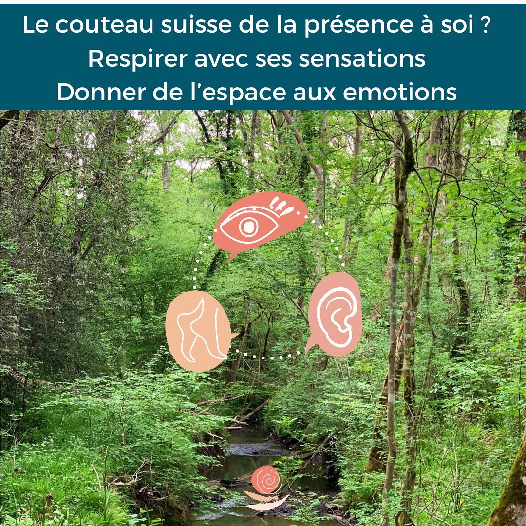 •
•
•
La méditation est l’une des pratiques qui permet de revenir à soi et de muscler son attention. Il est possible de la pratiquer de différentes manières. L’une de mes préférées est la promenade en forêt.
Pourquoi exercer son attention ?
Pour repérer ses pensées, émotions, sensations afin d’agir avec discernement et se libérer un peu plus des automatismes inconscients
Comment faire pendant une promenade ?
Porter son attention à l’environnement extérieur puis à ses sensations internes alternativement. Par exemple:
- Entendre le chant des oiseaux,
- Percevoir la brise dans les feuilles,
- Voir de multiples nuances de couleurs,
- Sentir le chemin caillouteux sous ses pas
- Respirer profondément
- Percevoir des tensions ou de la détente dans certaines parties de son corps
De quelle façon musclez vous votre attention ?
•
•
•
#respiration #sensibilité #conscience #presence #pleinepresence #gestalt #therapie #psychocorporelle #meditation #changement #relation #Ustaritz #Biarritz #Anglet #bayonne