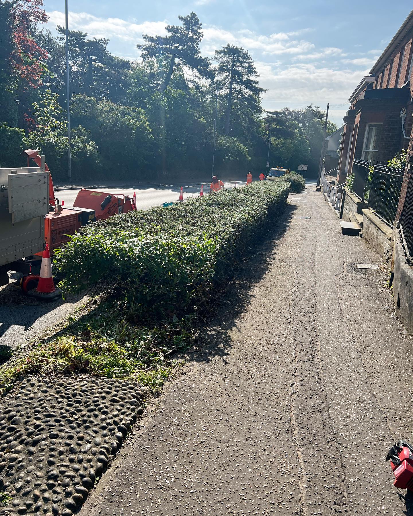 A job recently competed for highways. A nesting survey was completed before any works took place. 🌳🌳#amgroundmaintenance #norwich #norfolk #arb #edp24 #norwichbusinesses