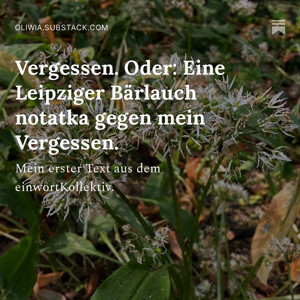 #oliwiasnotatka VERGESSEN. ODER: EINE LEIPZIGER BÄRLAUCH NOTATKA GEGEN MEIN VERGESSEN. ➡️Link in Bio! ✍️Es geht um Bärlauch, Leipzig, A room of one´s own, Alleinsein, Geld, meine 13 Thesen zu meinem Schreiben sowie Bücher, Worte, Listen, Momente, die ich nicht vergessen möchte. Außerdem große Premiere:💥Das ist mein erster Text aus dem einwortKollektiv💥 Besonderen Dank an @vivian.sper fürs Lektorieren und Schreib-Buddy sein! Das einwortKollektiv besteht aus sechs Autor*innen, die sich alle zwei Monate von einem gemeinschaftlich bestimmten Wort inspirieren lassen. Diesen Monat ist es: VERGESSEN 🌿🌱💚Mit dabei sind auf Substack: •Sofia "Fast jeden Sonntag" @fastjedensonntag •Vivian "Der schöne Schein" @vivian.sper •Kea "Hinterhofgedanken" @keavongarnier •Franzi "Buchstaben belichten" @fran.koe •Antoni Dylan "Pöbeln und Popkultur @antoni.et.dylan 👏💥💚🫶 Die Autor*innen des einwortKollektivs sind in meinem Beitrag verlinkt - unbedingt bei den anderen Schreibenden reinlesen und ihre Letter abonnieren 💚💥💚💥💚#einwort #schreib #kollektiv #substack #vergessen #notatka #lesen #schreiben #sharingiscaring #bärlauchwald #nonnenwiese #dll #leipzig Wir lesen uns!
