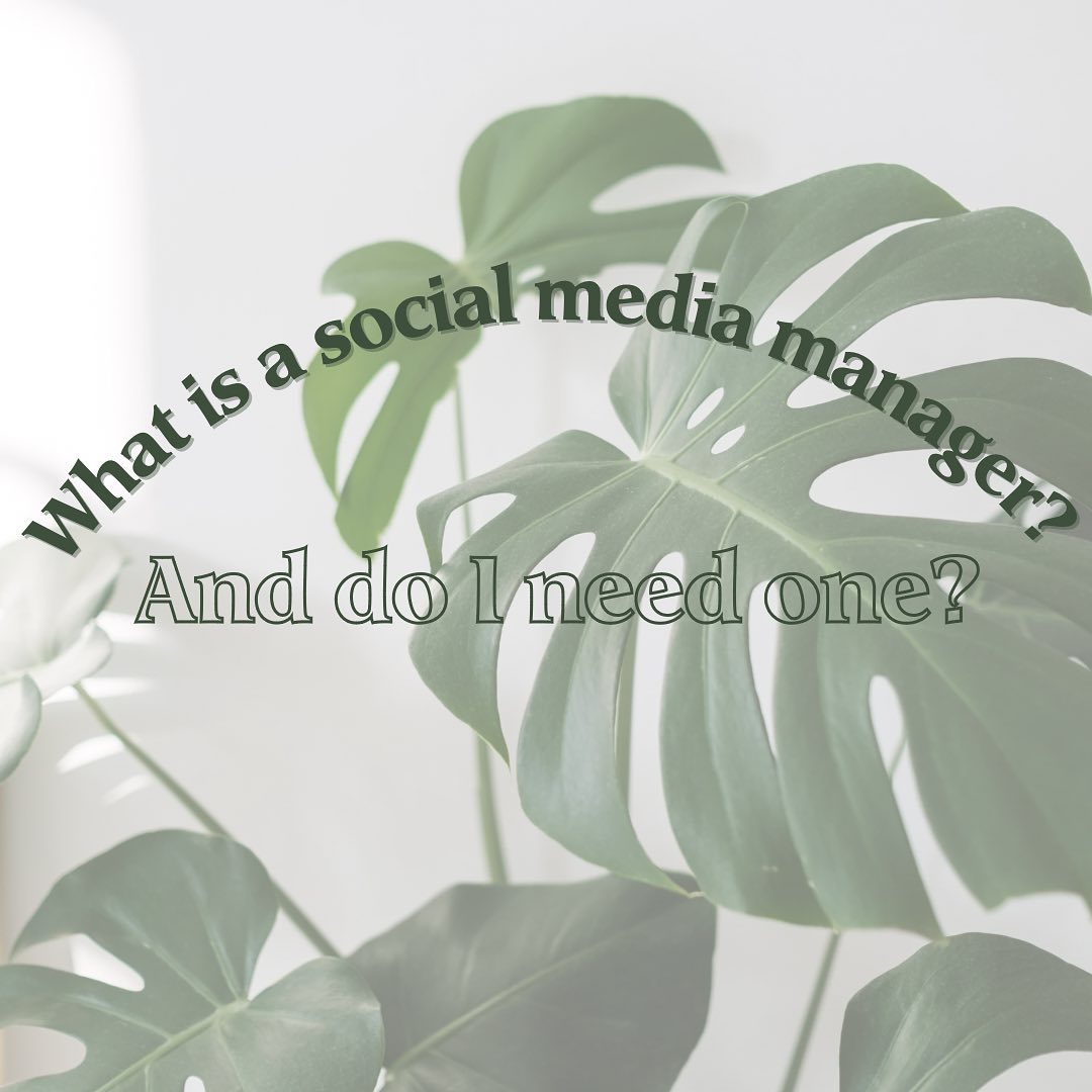 Social media managers are the superheroes of the digital world! They help businesses connect with their audience and grow their online presence. If you're looking to take your social media game to the next level, a social media manager might be just what you need!
Book a free 20 minute discovery call with the link in my bio!