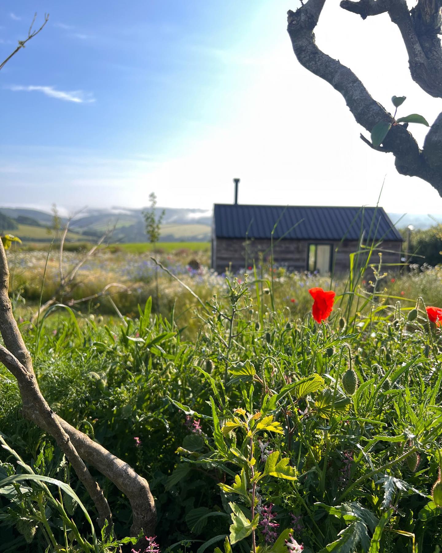 Sunny Summer escapes in total seclusion surrounded by wildlife on the Devon coast ☀️
Come for a few days escape to a cabin (wifi included if you can’t get the time off work..) for total peace and quiet, walking distance to a lovely town, and lots of sandy beaches a short drive away.
#escapetothand #staycation #wildlife #cabin #devoncoast #devon #beach #hottub