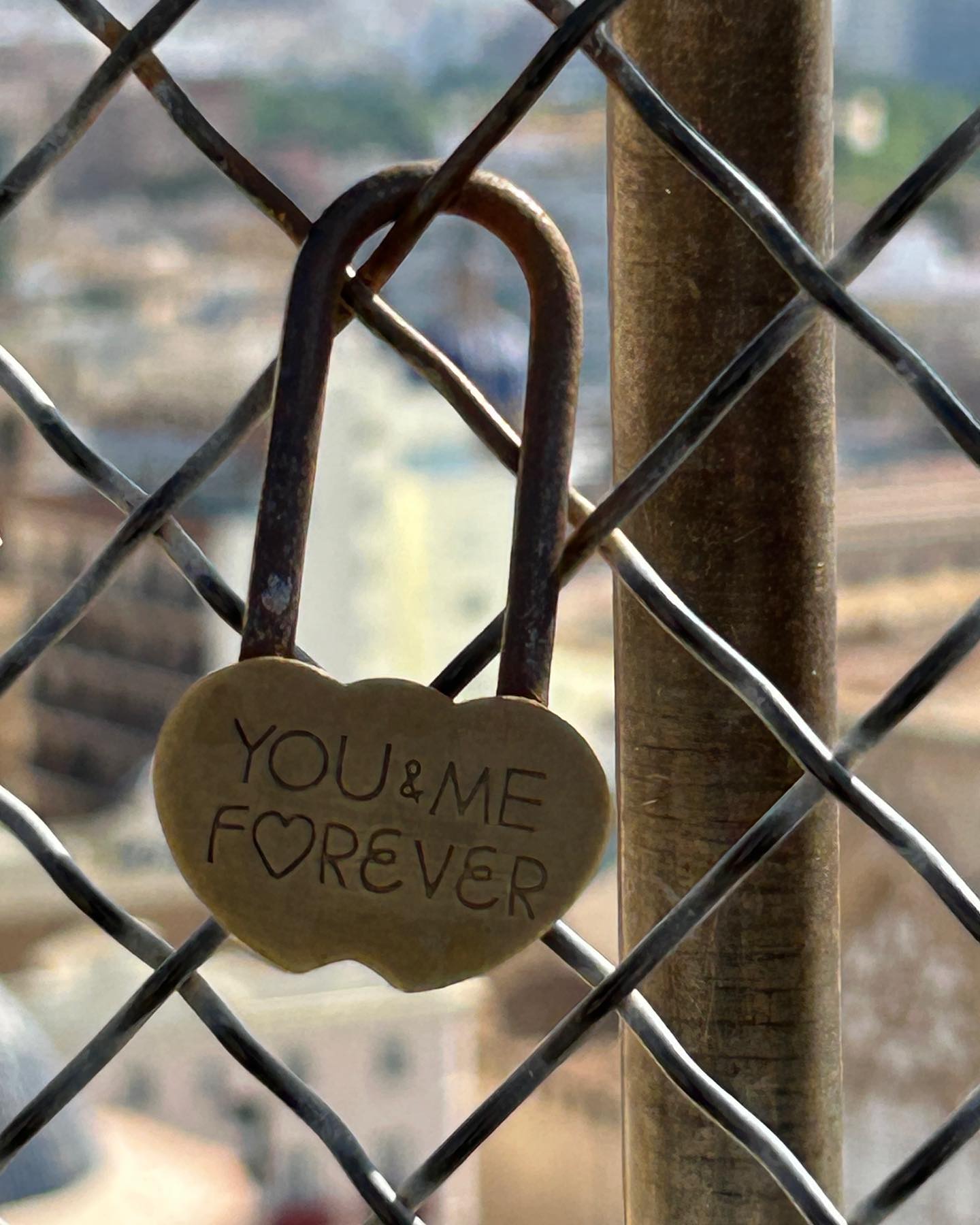 Valencia Cathedral tower. 207 steps for a view of the city and some love. 💕
#love #church #visitvalencia #spain🇪🇸