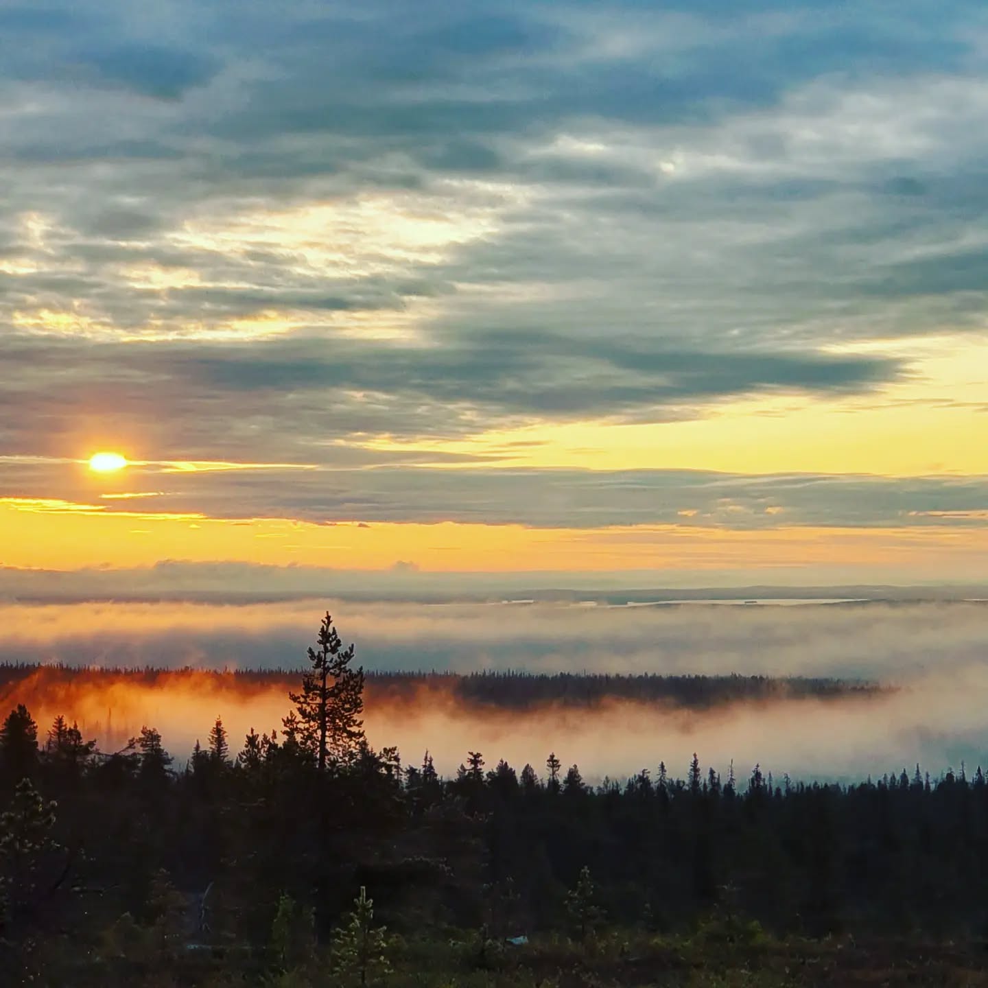 Pohjoisen valoisat kesäyöt ovat parhaimmillaan. Nyt kannattaa ottaa kunnon päivätorkut riippumatossa ja suunnata keskellä yötä tunturin huipulla kuuntelemaan, katselemaan ja haistelemaan kesäyötä.
The bright summer nights in the north are at their best. Now you should rest during the day and head to the top of the fell in the middle of the night to experience the midnight sun.
#midnightsun #arctic #northernfinland
#summervibes #summernights
#visitfinland