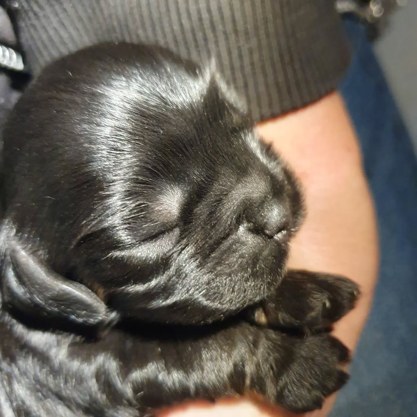 In der Wurfkiste wird getrunken und geschlafen