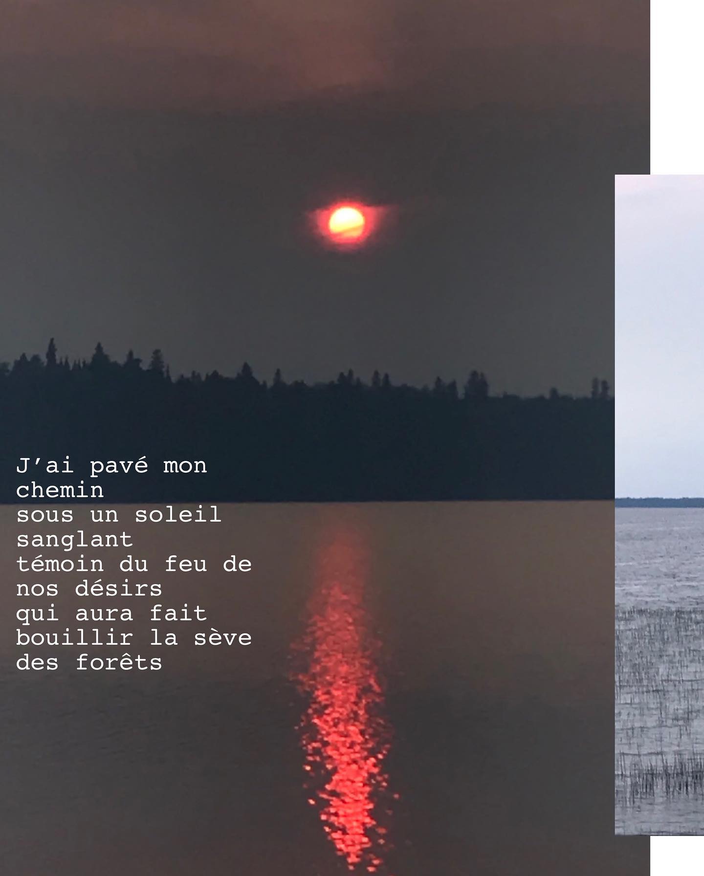 #poesieincendiaire
Poésie impromptue, rédigée entre deux kilomètres de la 117, route mythique et inspirante qui fait partie de mon histoire.
-
J’ai pavé mon chemin
sous un soleil sanglant
témoin du feu de nos désirs
qui aura fait bouillir la sève de la forêt
La plainte des conifères
possède une odeur
de celle qui décime nos patrimoines
à grand coup de brasier
qui embrume nos présents
et l’avenir des enfants
La lumière diaphane
a sonné la fin du monde
aux portes du Dieu-capital
il n’a pas répondu
encore
et nous avons suivi au pas
troupeau docile du statu quo
au coeur des quotidiens accessoires
La maison brûle
mais le fauteuil est confortable
alors j’y resterai
jusqu’à mes cendres j’y resterai
les yeux fermés
face au saccage
jusqu’où doit-on mourir
avant d’appeler les secours
Il pleut des arbres morts
le ciel crie sa douleur
et le soleil s’éteint
Je viens trouver refuge
sur la peau des lacs
et au creux de ce qui m’habite
Je viens lever le poids de mes paupières
pour y déposer douceurs familières
mais
aurais-je la chance de vieillir?
- 15 juin 2023, Abitibi -
.
.
.
.
.
#poesie #poesiequebecoise #poesieincendiaire #abitibi #abitibitemiscamingue #laforetbrulelaplaneteaussi #criseclimatique #poesienordique #poesieressac #litterature #ecriture #lesmotspourlesmaux #poèteencavale #writing #poetry #redsun #fireinthesky