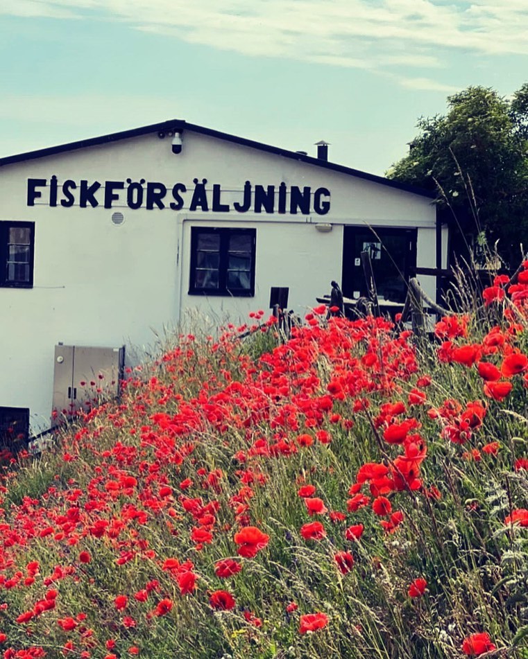 POPPIES- The poppy flower represent the celebration of your dreams. They are an emblem of all the things you hope to become, achieve, and create in life. Dream on!
One of our cute bride’s mom is on vacation in Sweden and took this picture to send to us. Thanks for the pretty pic @kristilasson
We love that “our” flower and brand represents achieving dreams ✨
.
.
#stgeorgeweddingplanner #stgeorgewedding #poppylaneeventsstgeorge
#southernutahweddingplanner #zionweddingplanner #poppy