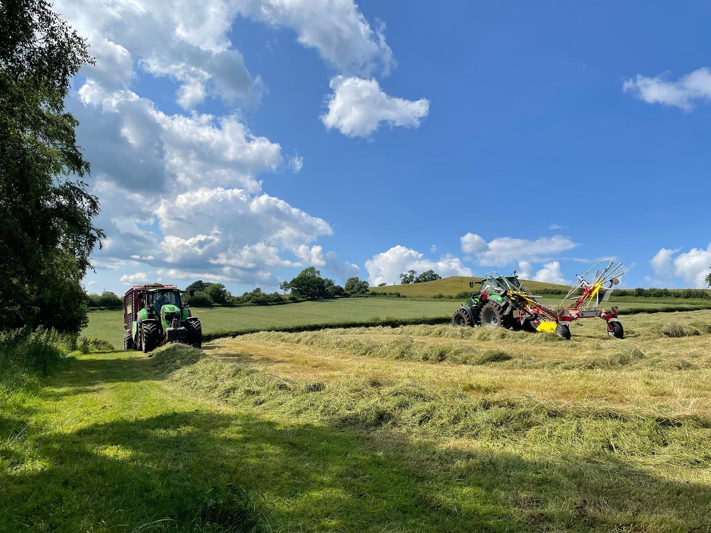 Break from the roses today, harvest time is here #summer #roses #harvest #blueskies @uskvalleyroses