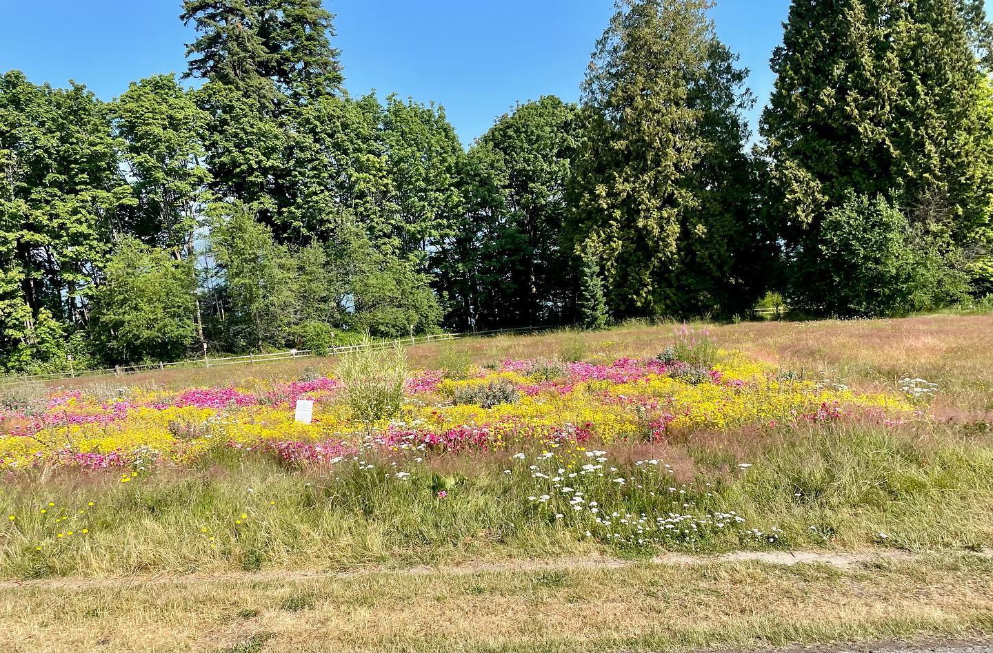 Super fun morning coaching this small keen group for the @triplecrownforheart ride on July 15th. Today’s workout was about finding your pace, whether it is by power, heart rate, or simply by feel. #rideforheart #pacingiskey #trainingride #charityride #morningworkout #livingwithheartdisease