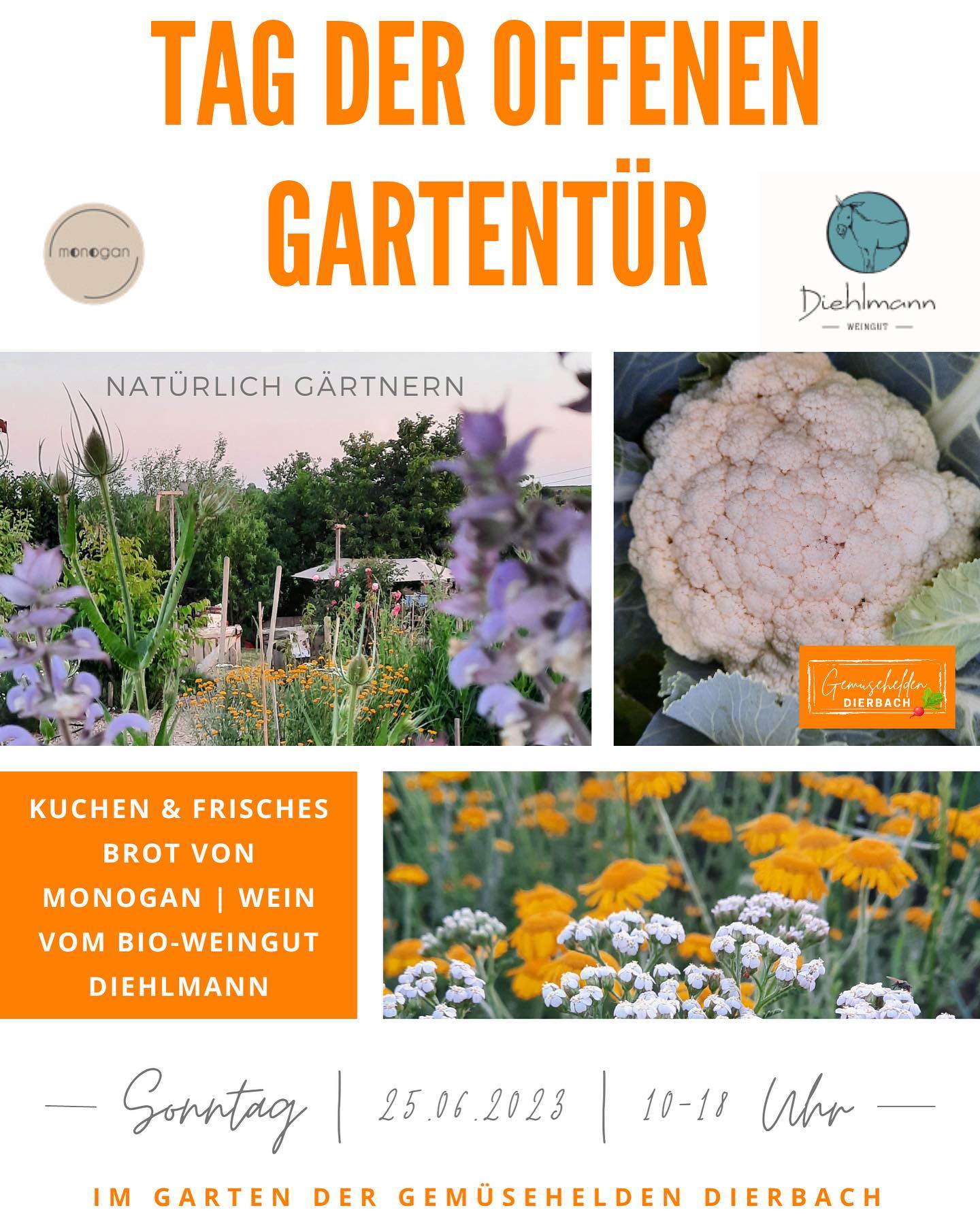 Ab 10:00 Uhr morgen mit dabei! Wir freuen uns auf einen schönen Tag mit den Gemüsehelden aus Dierbach!
Kommt auch und lasst euch inspirieren!!! 🪴🌻🌸🌺🌼🪻🪷