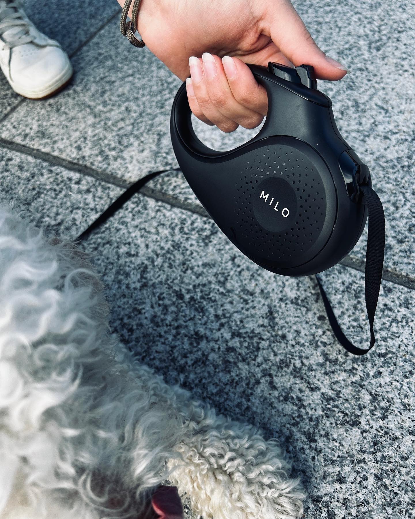 A premium dog leash is more than just a tool - it's a reflection of your pup's personality. Choose one that matches your furry friend's unique style. 🐶💫
Milo Leash in the town - soon to be available for everyone!
#miloleash #PremiumDogLeashes #PupPersonality #StyleStatement #QualityAndFashion #walkinstyle