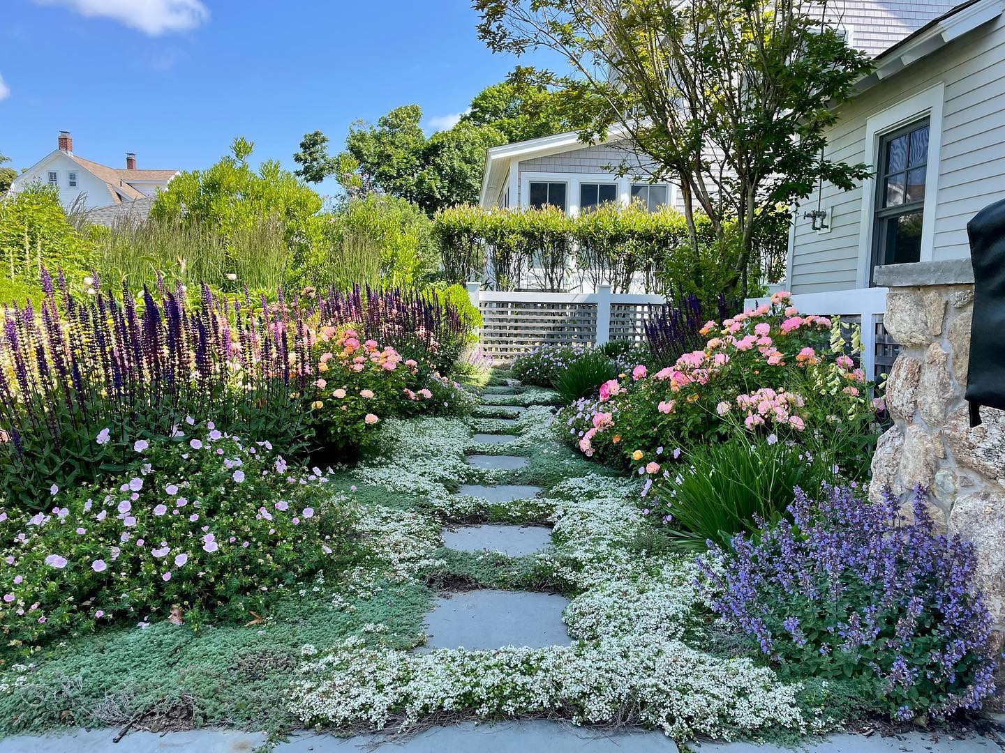 Bluestone step stones smothered in creeping thymes lead you from the fire pit terrace at this small cutting garden in Madison overlooking the sound. A pandemmy project with terrific clients while at Anne Penniman Associates. The rest of the property is native grasses, perennials, and shrubs, but this small corner is a gentle riot of color requested by the client to cut and bring in to enjoy.
#cutflowers #landscapearchitecture #landscapephotography #landscapegardening #roses #thyme #bluestone #garden #gardendesign #madisonct #connecticut #newengland #gardeninspo #smallgardenideas #gardensofconnecticut #residentialdesign #pollinators #landscapedeisgn #landscapelovers #gardensofinstagram #residential