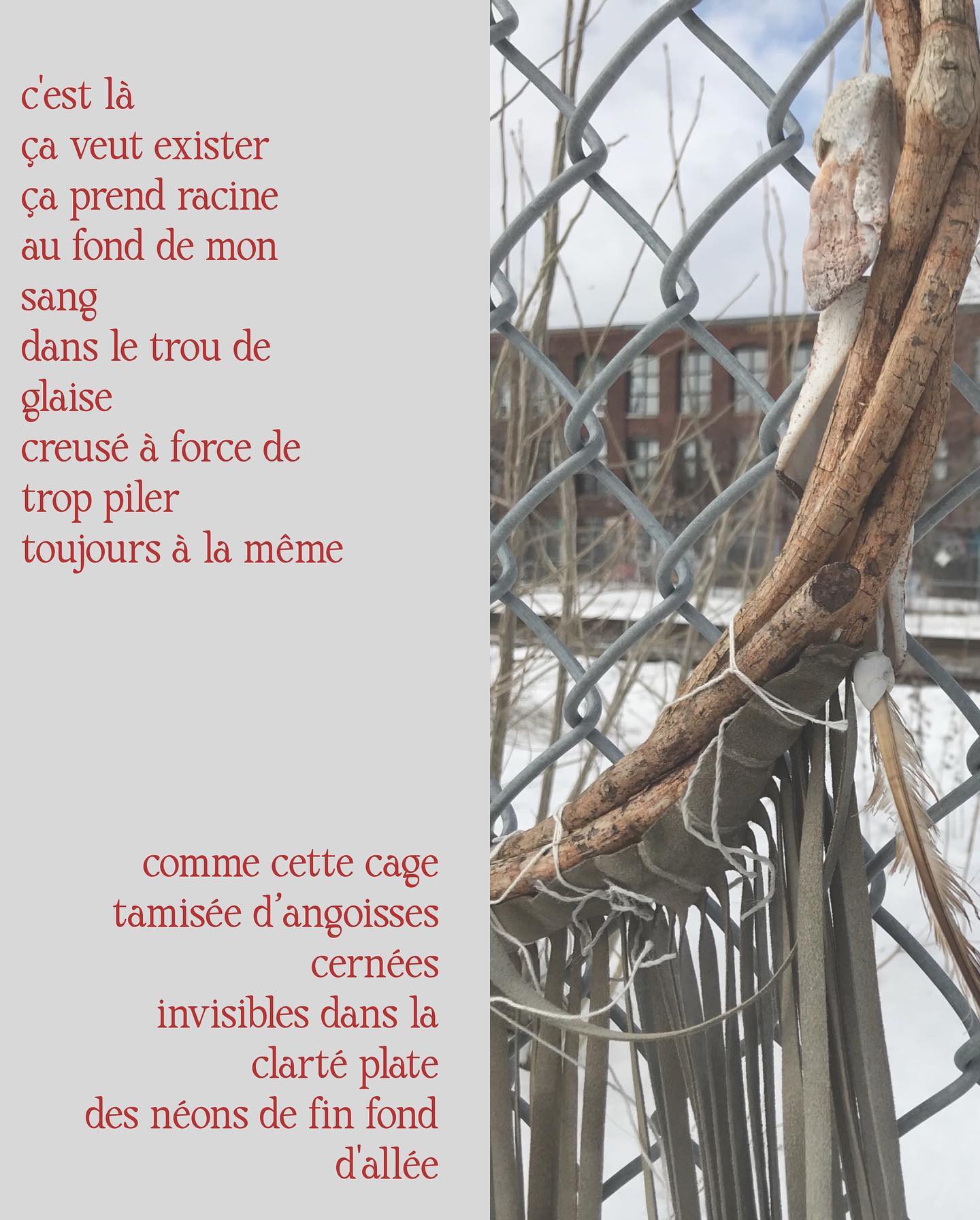 - Il faudra faire le ménage -
Un poème écrit en 2021, puis retravaillé l’an passé pour le soumettre au prestigieux concours littéraire de Radio-Canada.
Il n’aura finalement pas été retenu, mais ce texte demeure précieux. Ce récit est une partie de mon histoire, les images qu’il propose me ramènent à un moi des jours passés.
En le publiant sur mon blog, je tends la main à cet Hubert d’avant, je tisse un fil entre cette vie qui fut et la réalité qui m’habite aujourd’hui.
J'espère qu’il deviendra source de réflexions chez vous, qu’il saura vous toucher là où ça apaise.
En voici quelques extraits. Le poème complet se retrouve sur poesie-ressac.com ➡️ Lien en bio!
Bonne lecture. 📖
.
.
.
.
.
#poesie #poesiequebecoise #ilfaudrafairelemenage #poesieressac #noirceursinternes #litterature #ecriture #poeme #lesmotspourlesmaux #poèteencavale #writing #poetry #dechiruredutemps