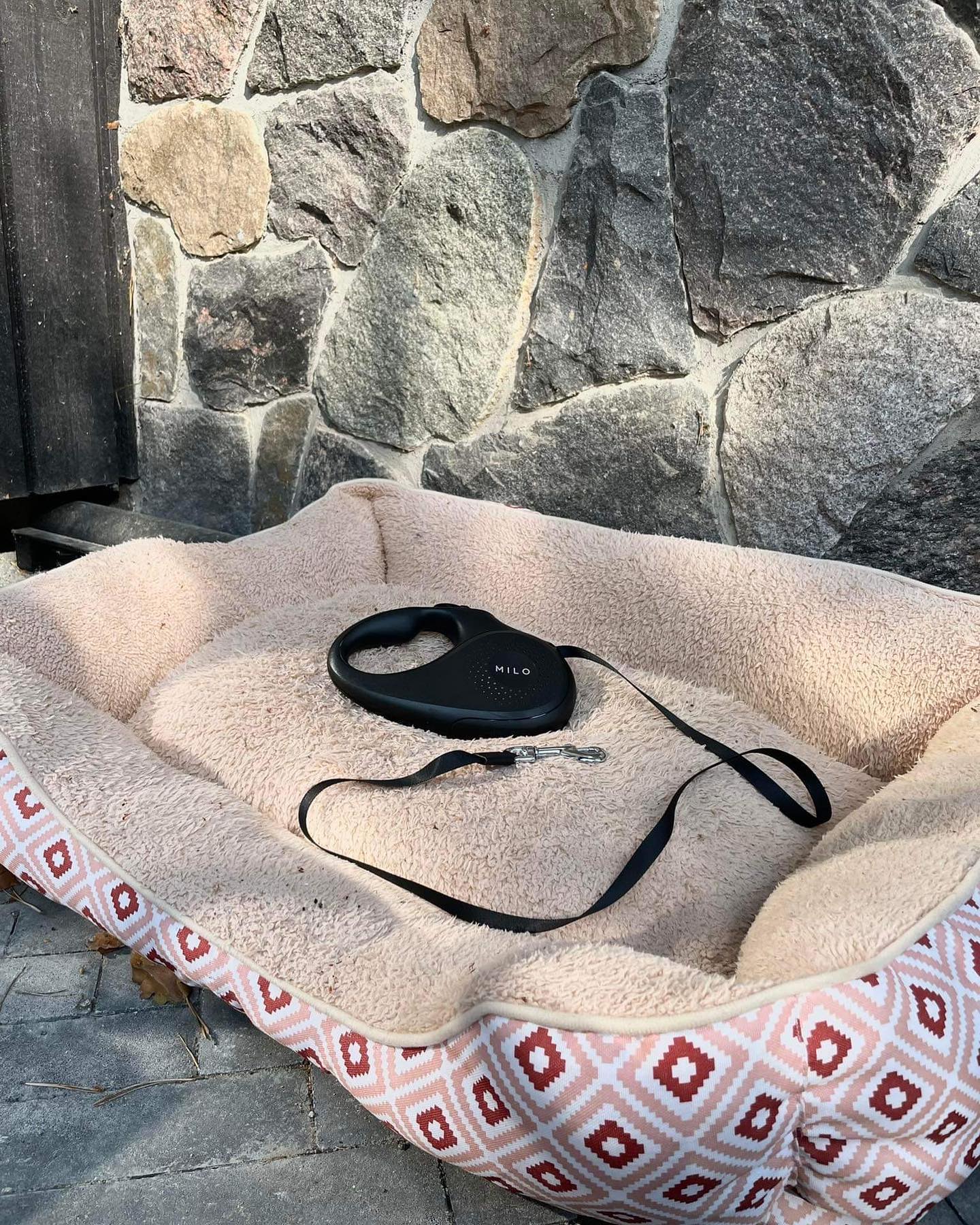 Less is More: Embrace Minimalism with Our Chic Milo Dog Leash Collection! 🌟🐕
#minimalistpet #chicleash #dogfashionista #lessismore #miloleash #dogleash