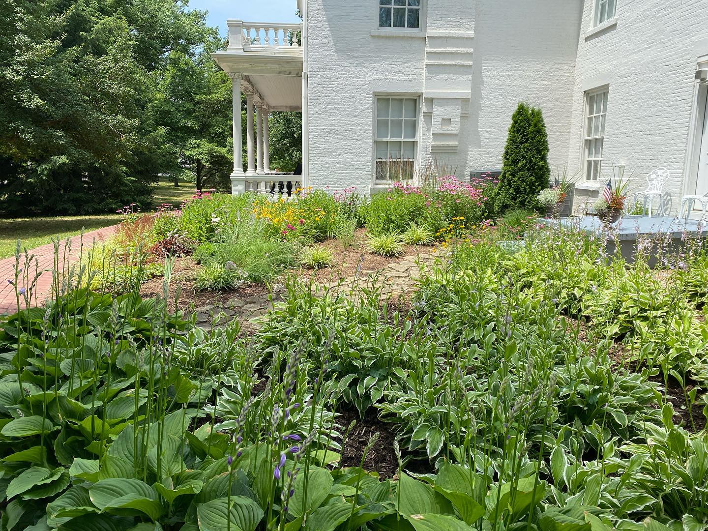 We are incredibly thankful that in spite of the widespread tree debris on our grounds, all of our buildings are safe! While our garden was safe during yesterday’s storm, the rest of our grounds were not. Thankfully, we will probably only need to remove one tree. Many of our other trees sacrificed large limbs to the high winds.
