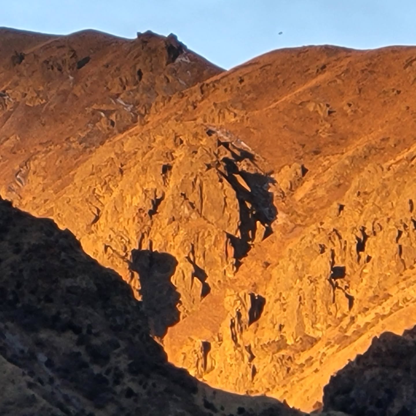 We've lived here and been stewards of the sacred power spot for 9+ years now, and I've never seen the natural 50m tower/totem cast this shadow before. We are fortunate to have this view from our backyard. It occured to me that maybe geomancy really is a thing. Moments later, I turned 180 degrees, and saw this dragon/lion cloud form, confirming my contemplation. Being aware of spirit throughout the day ans watching for signs- and seeing them pop up more often.
.
.
#channeling #mediumship #counseling #intuitive #sessions #online #psychicreadings #blog #newzealand #mountainspirit #mtnspirit #spiritualism #spirituality