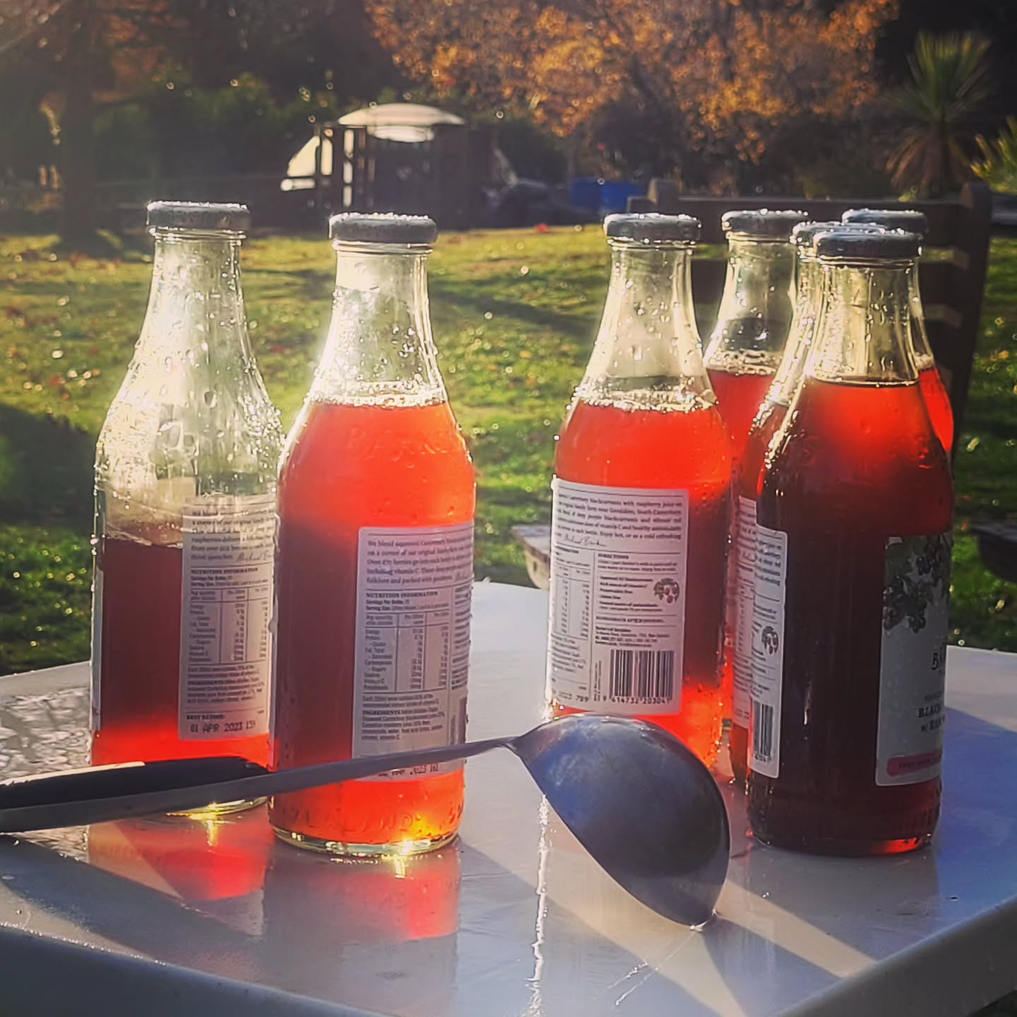 The last of this year's apple cider pressing. Yum! Fortunately we decided to freeze some of this "sugar in a glass" for later in the year. See some of our earlier posts on how we use our homemade apple press to get the yummy juice.
.
.
@purenewzealand #newzealand #wanaka #lovewanaka @wanaka #mountainspirit #meditation #retreats #yinyoga #experientialeducation #applejuice #applecidermaking #applepress #applepressing