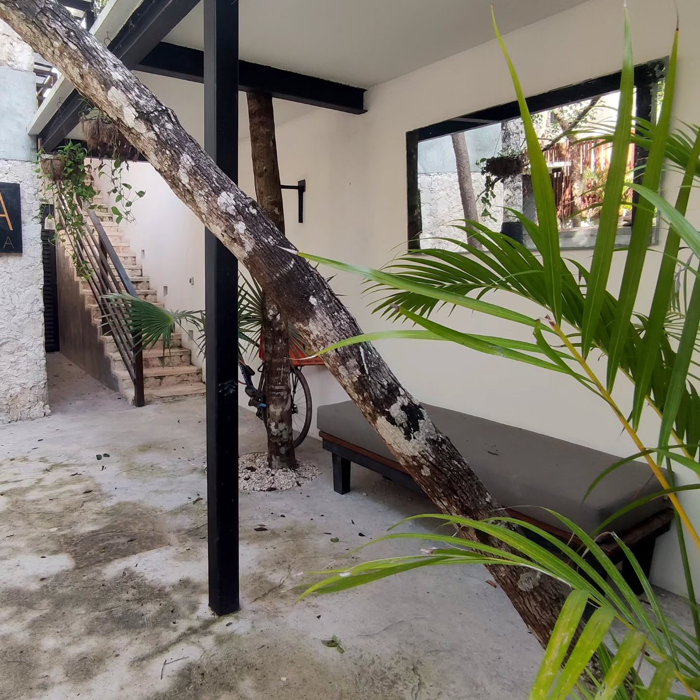 📍 Location: Privada Holistika, Tulum
1️⃣ Entrance:
2️⃣ Waiting Area
3️⃣ Classroom
4️⃣ Lounge Area
5️⃣ Bathroom
#TheWizardWorkshop #ArtClasses #Tulum #MagicalArtSpace
-------------------------------------------------------
📍 Ubicación: Privada Holistika, Tulum
1️⃣ Entrada
2️⃣ Área de Espera
3️⃣ Salón de Clases
4️⃣ Área de Descanso
5️⃣ Baño
#ElTallerDelMago #ClasesDeArte #Tulum #EspacioMágicoDeArte